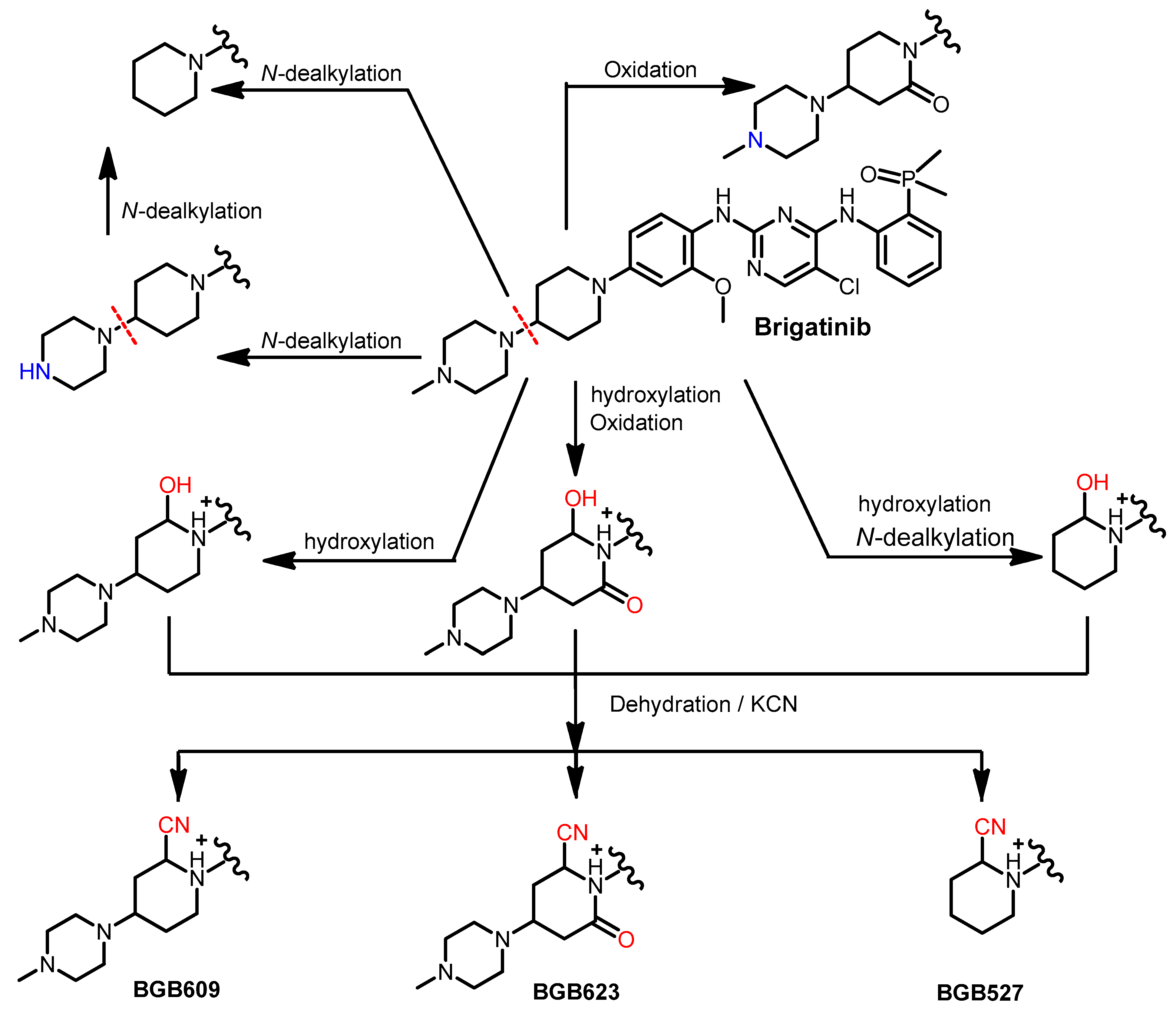 Molecules 26 06677 g020
