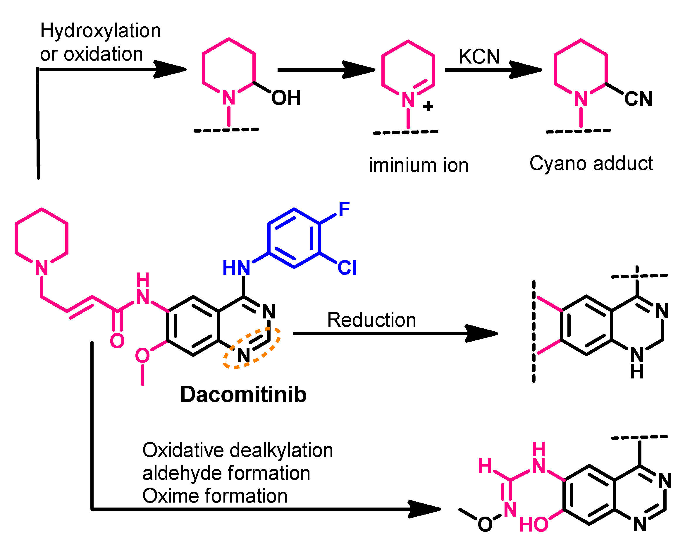 Molecules 26 06677 g024