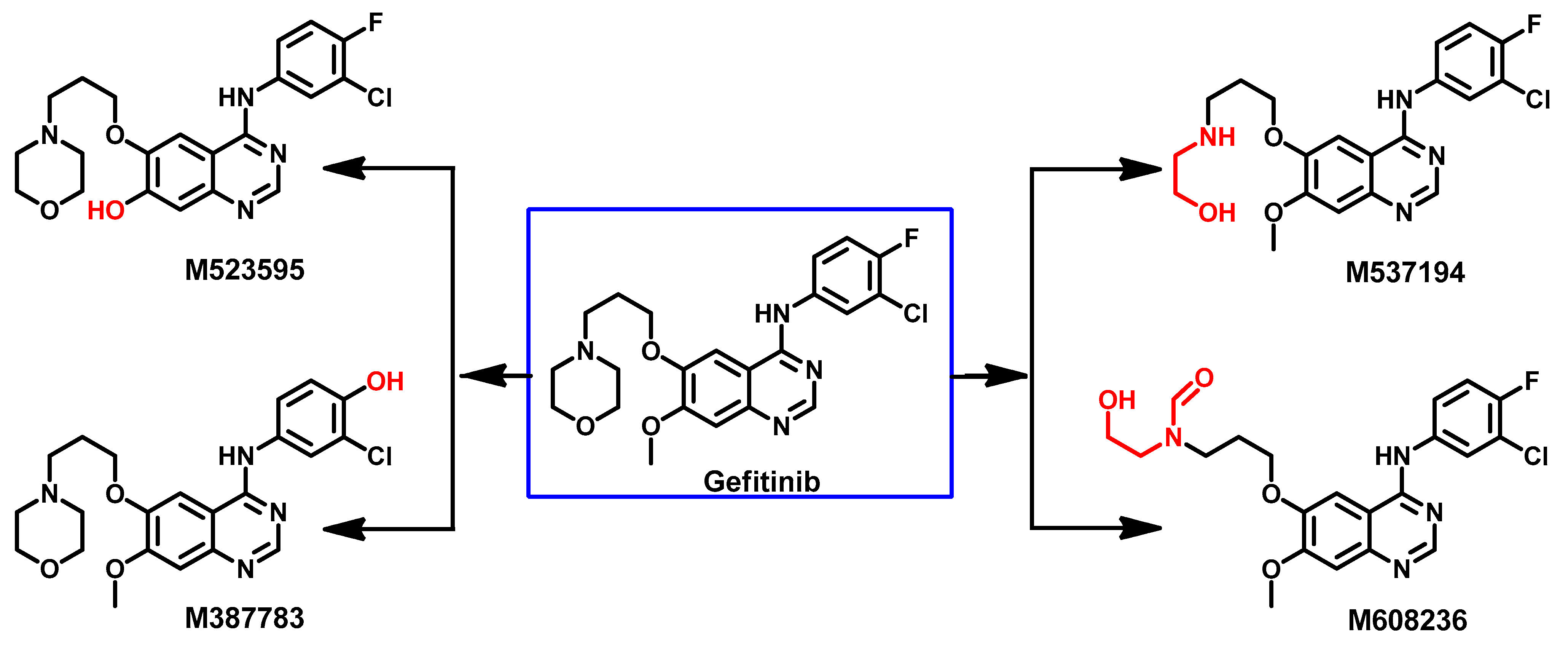 Molecules 26 06677 g034