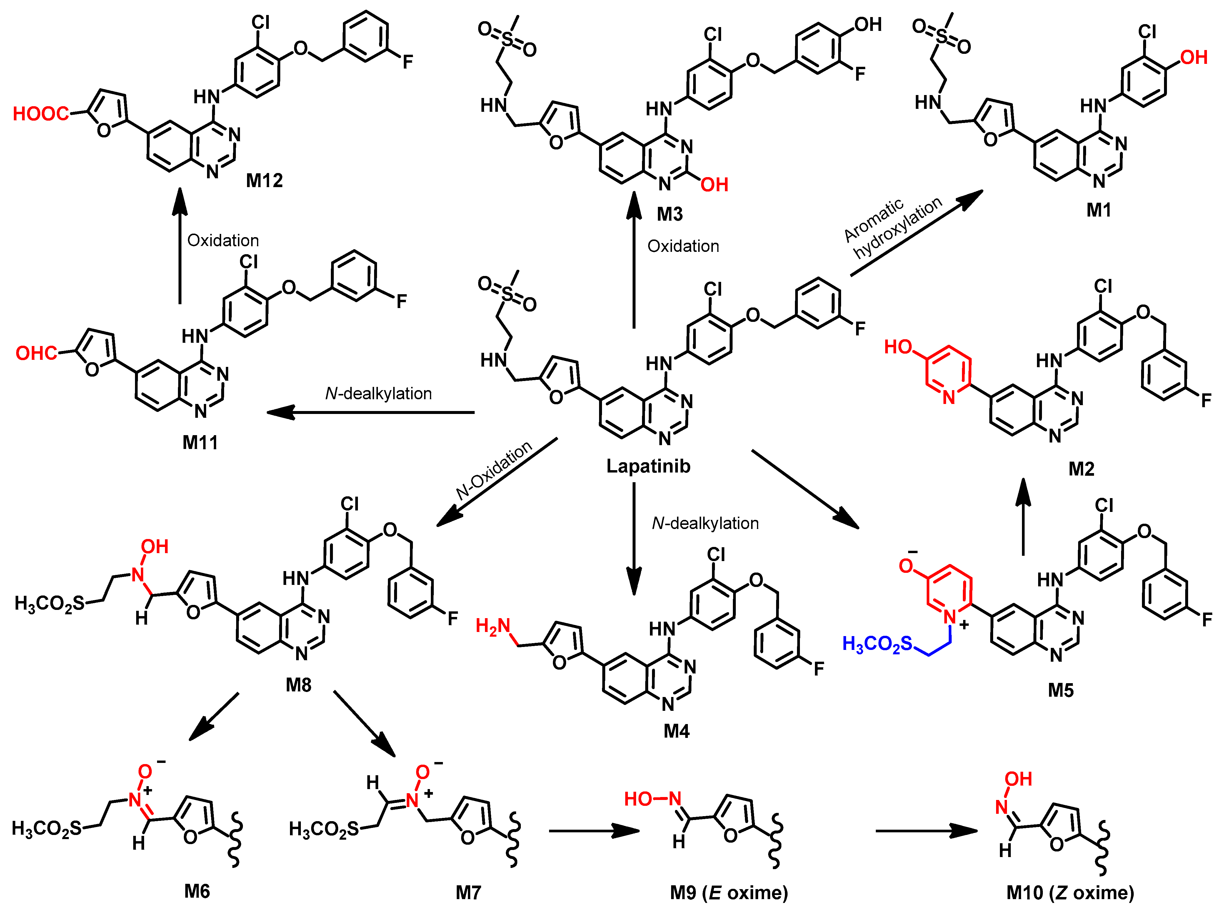 Molecules 26 06677 g042