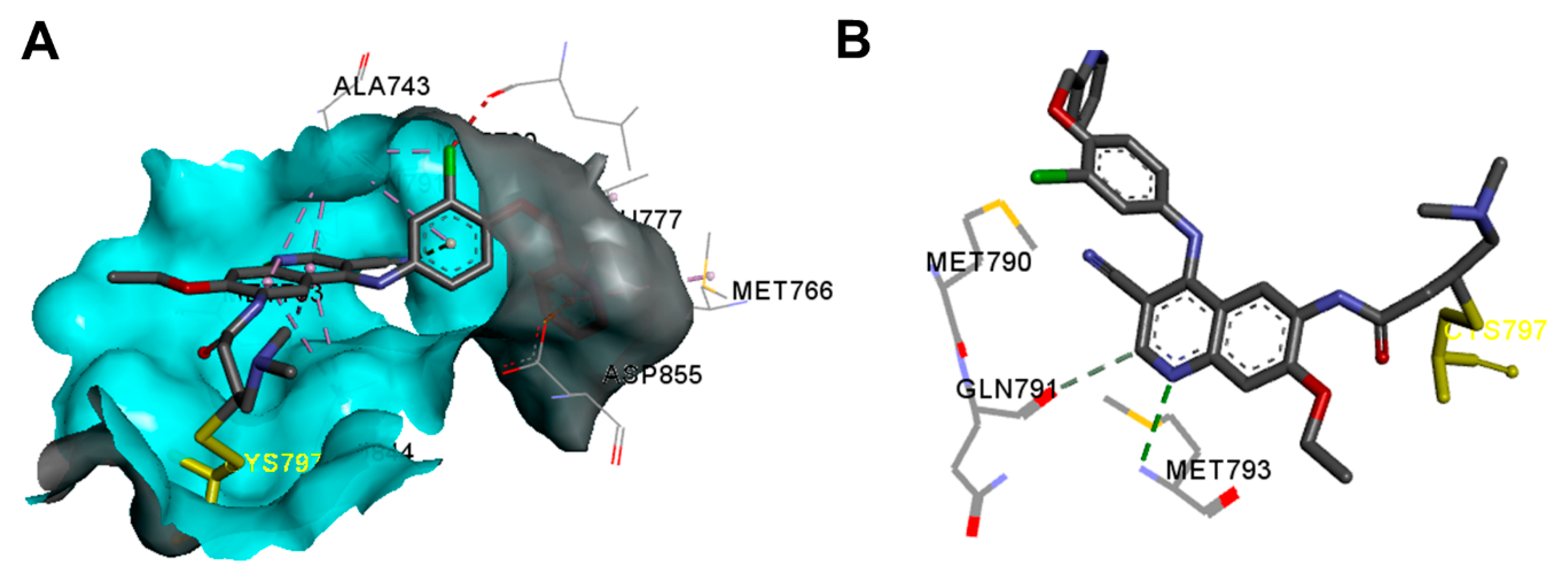 Molecules 26 06677 g045