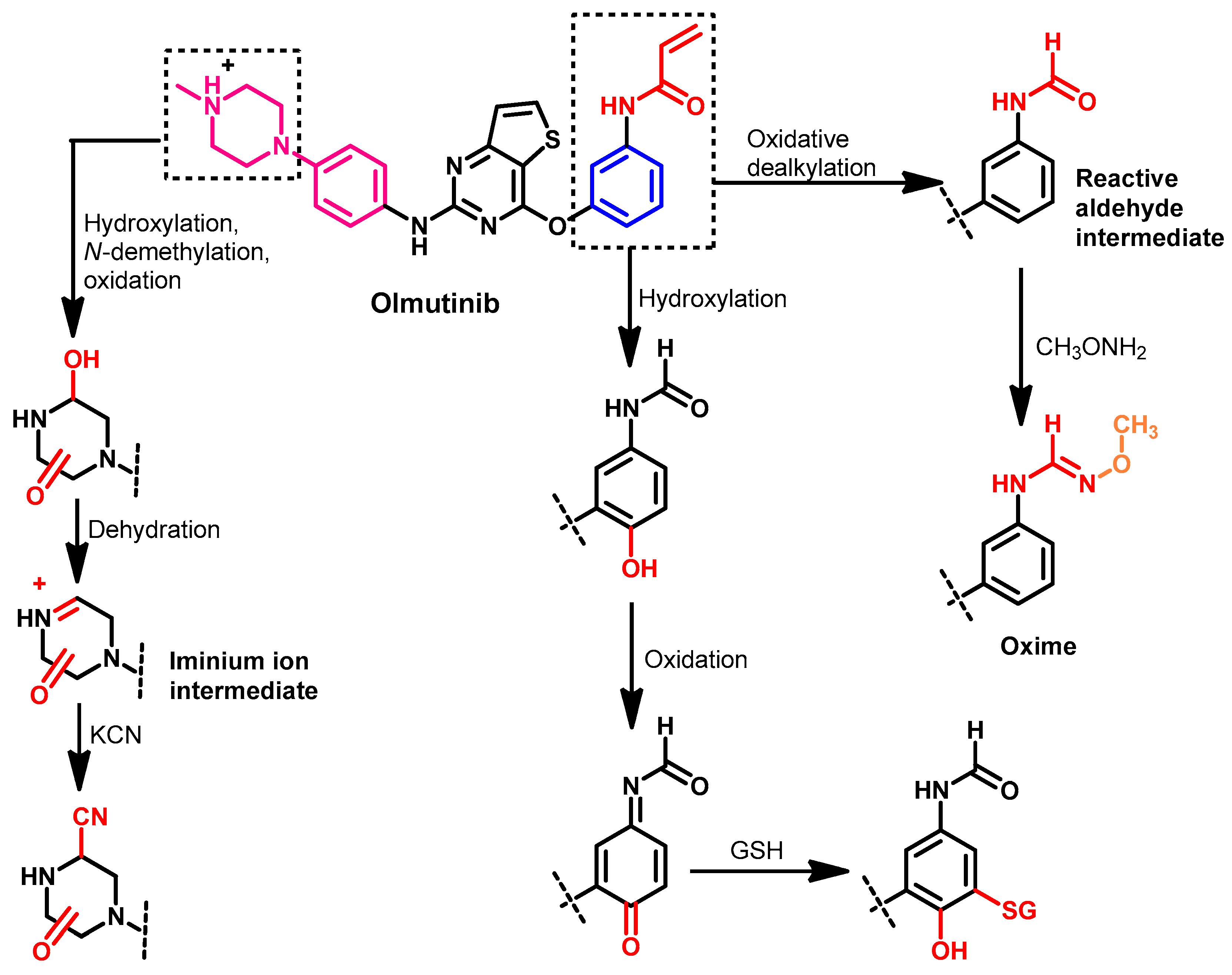 Molecules 26 06677 g050