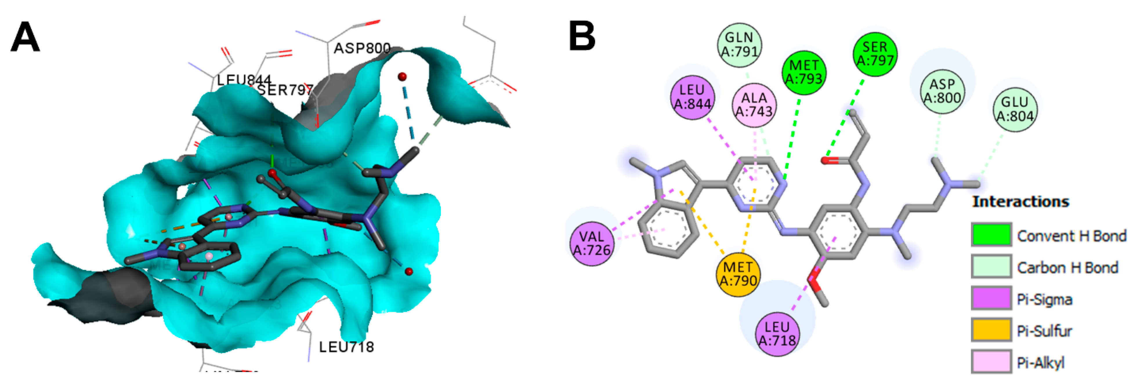 Molecules 26 06677 g055