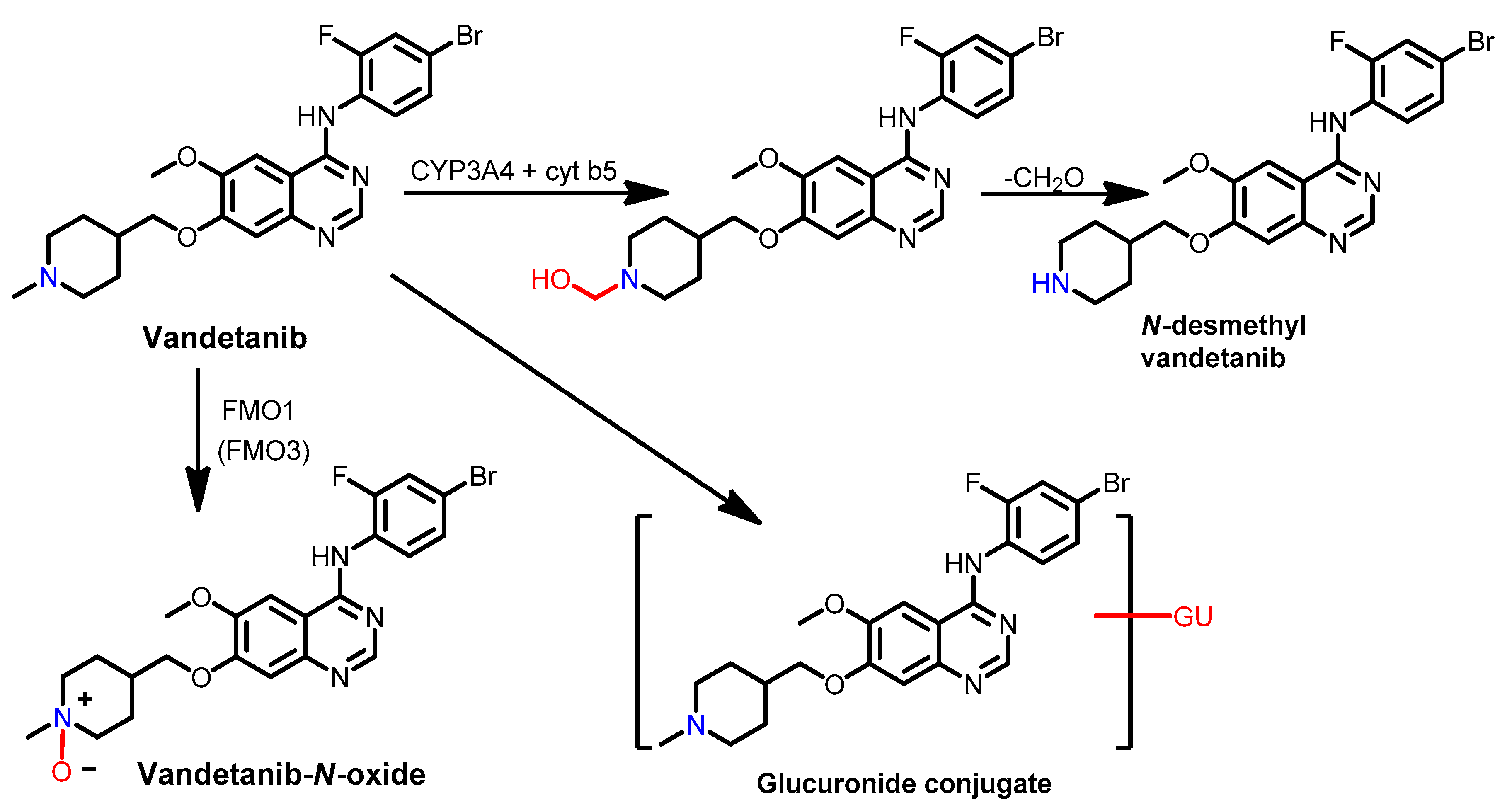 Molecules 26 06677 g065