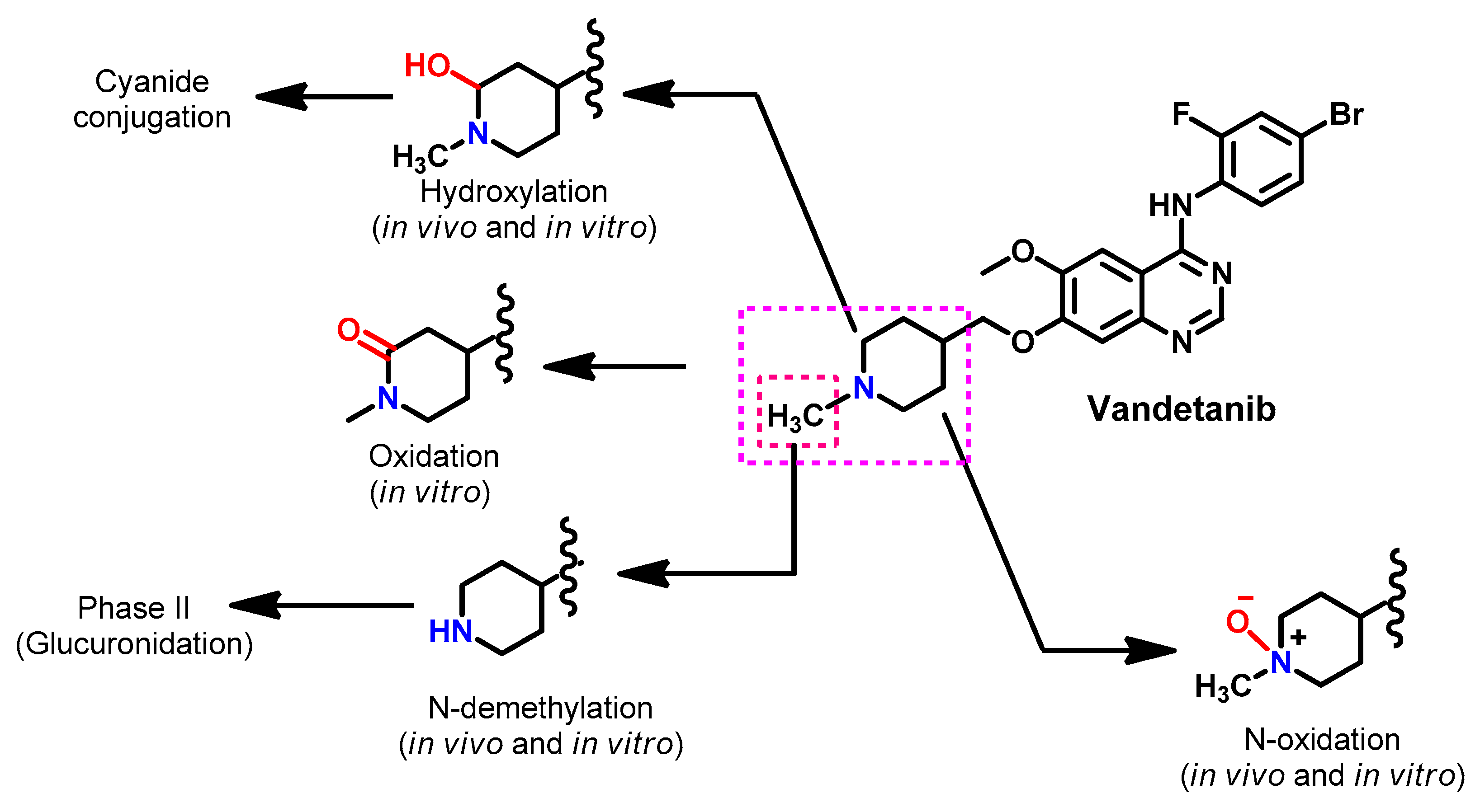Molecules 26 06677 g066