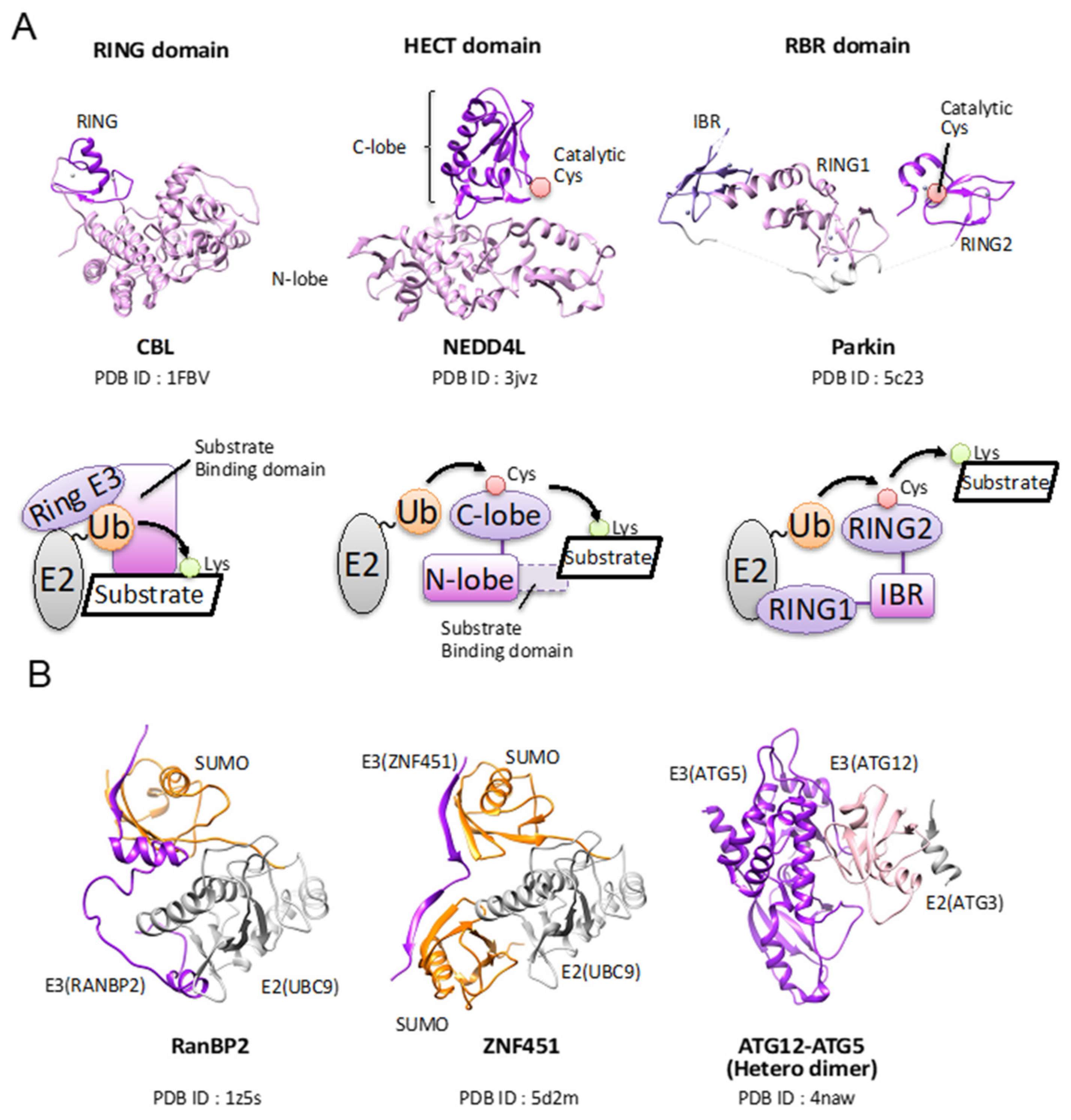 Molecules 26 06682 g003