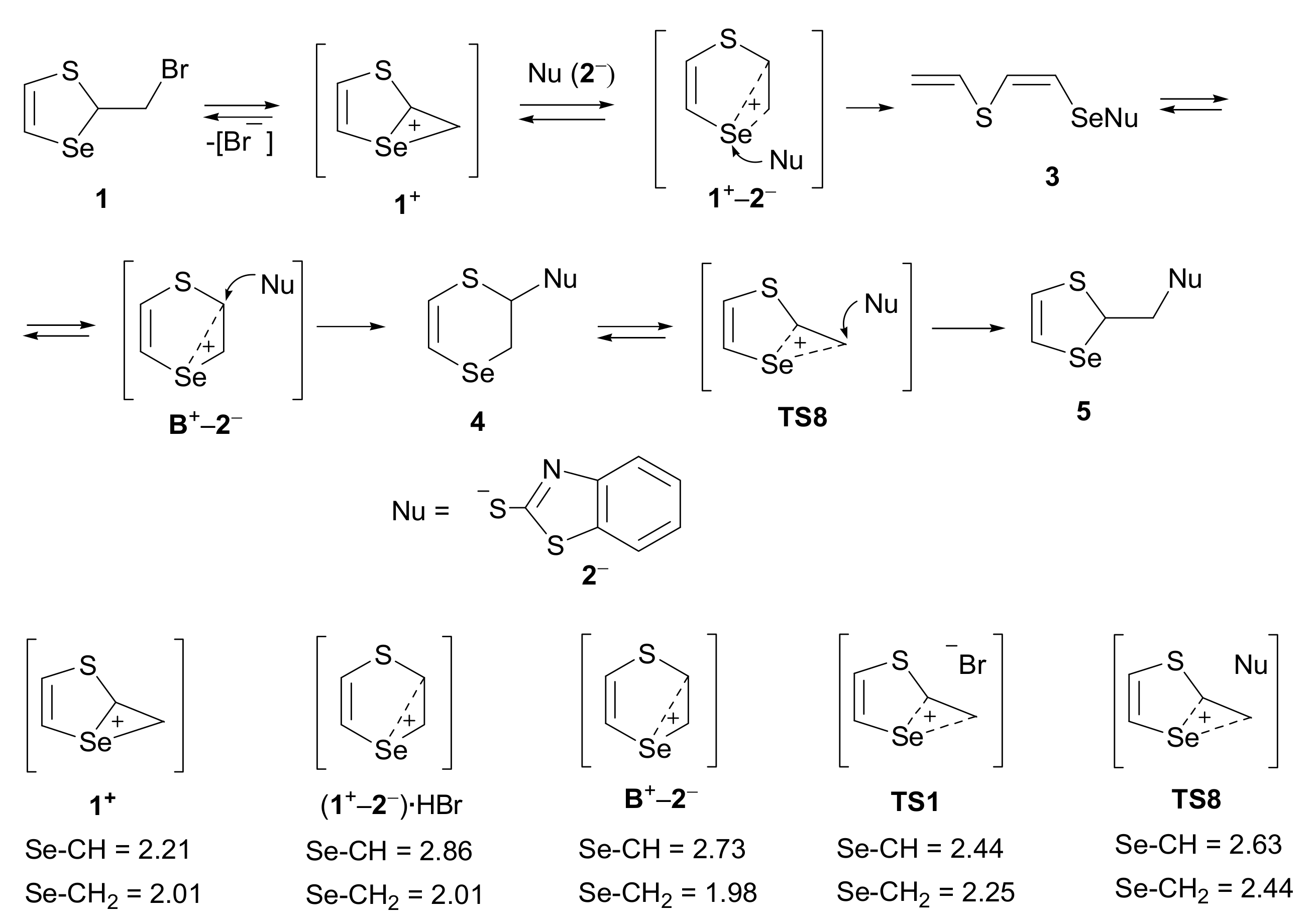 Molecules 26 06685 sch005 Molecules 26 06685 sch005