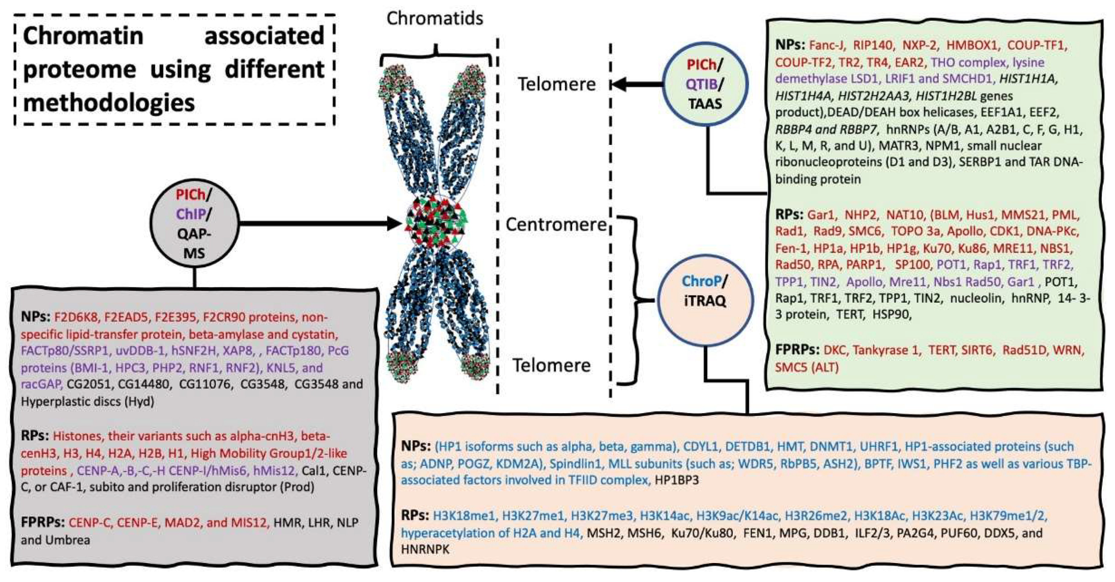 Molecules 26 06694 g004