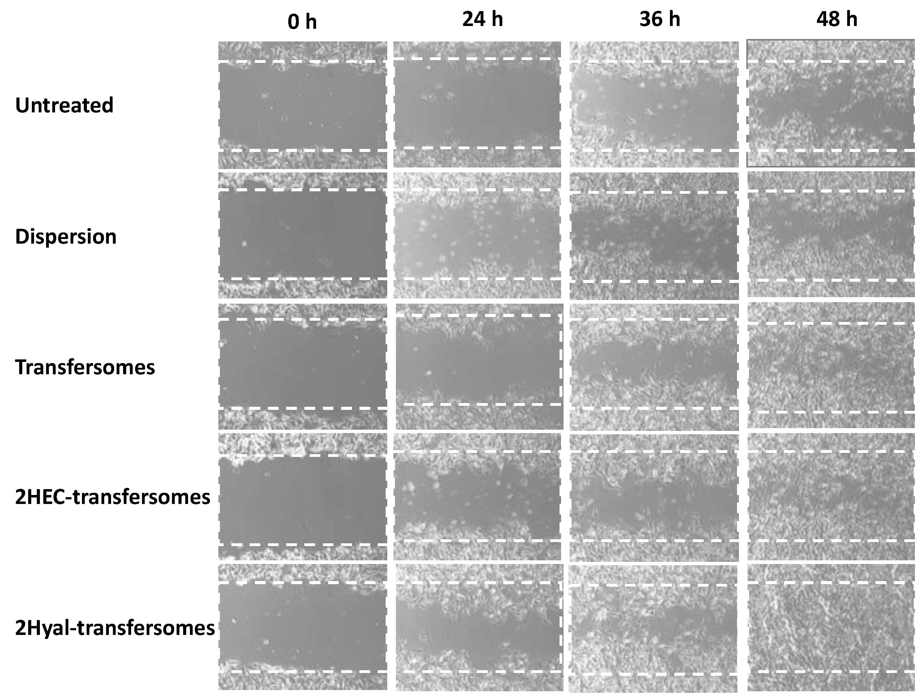 Molecules 26 06697 g005