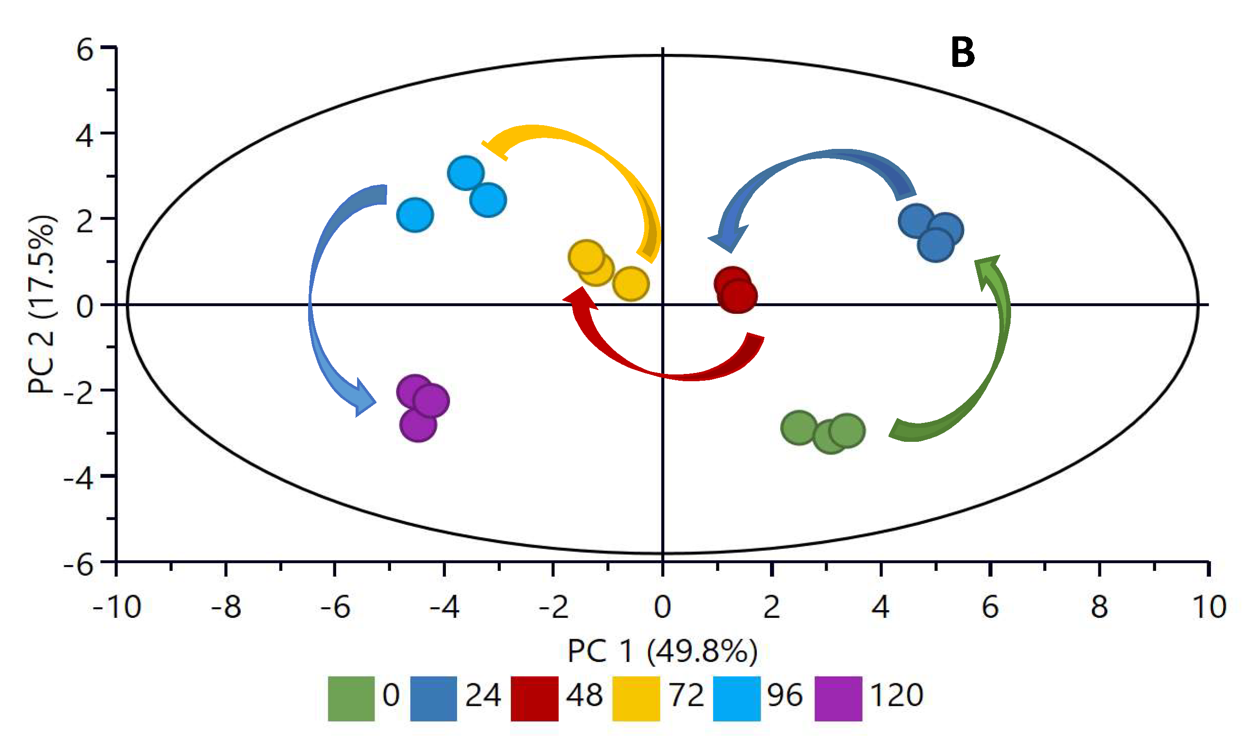 Molecules 26 06702 g007b