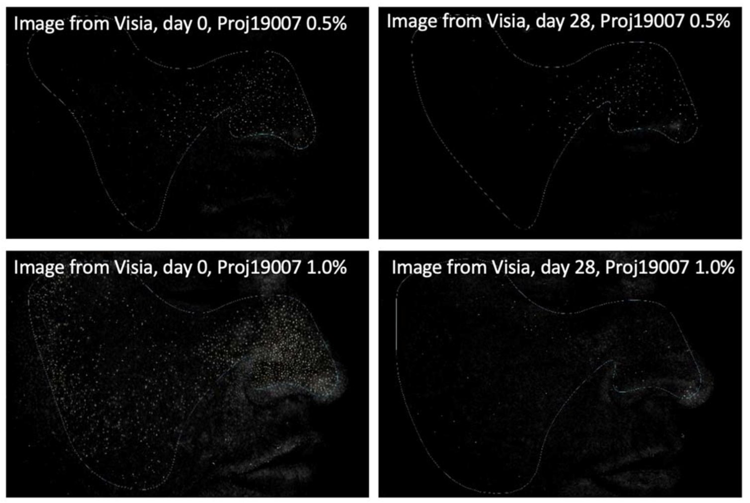 Molecules 26 06704 g004