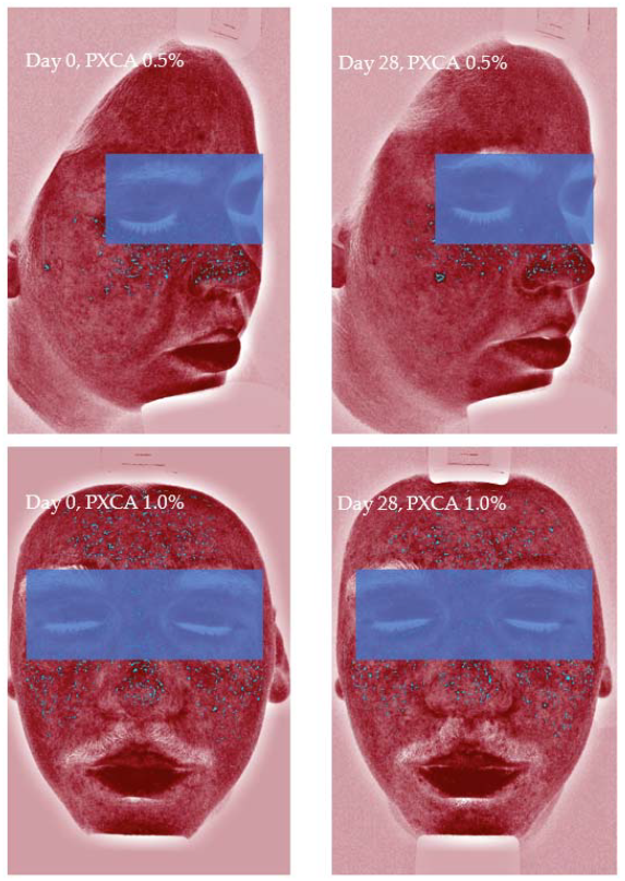 Molecules 26 06704 g006