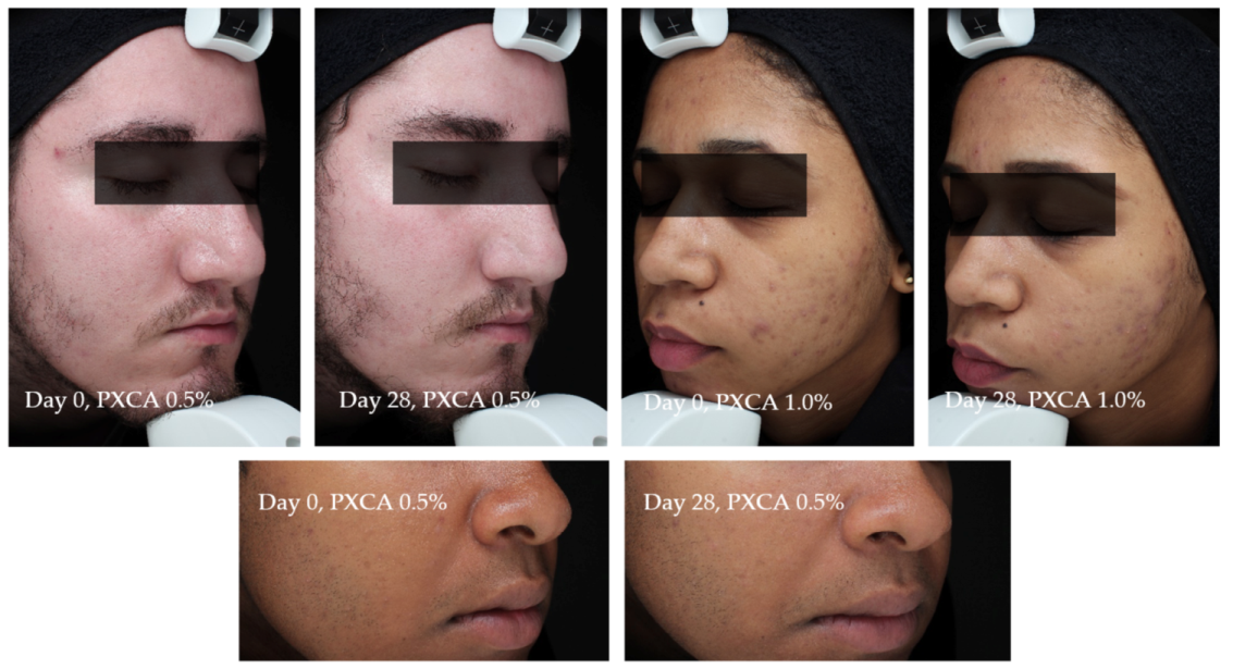 Molecules 26 06704 g007