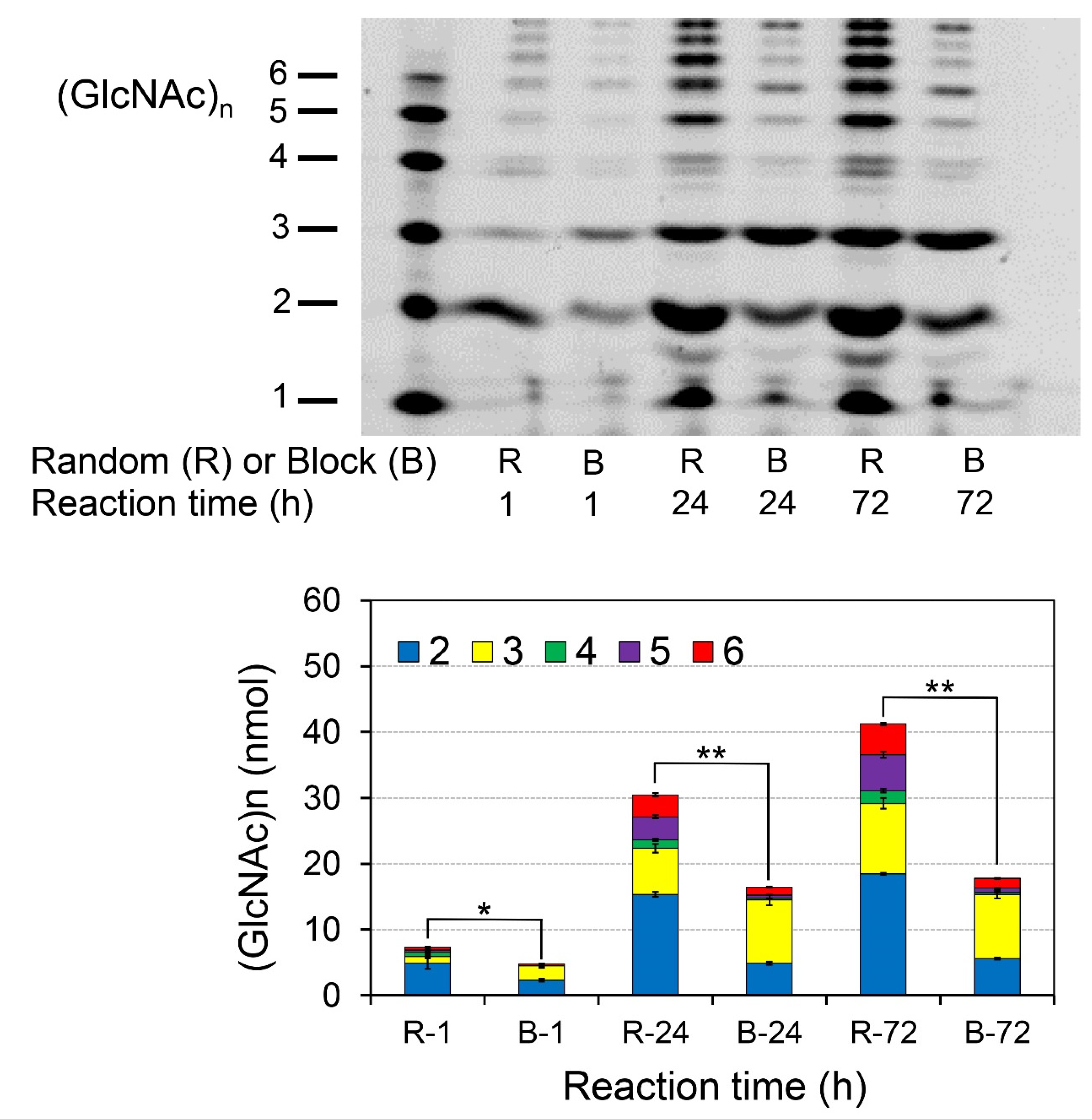 Molecules 26 06706 g005