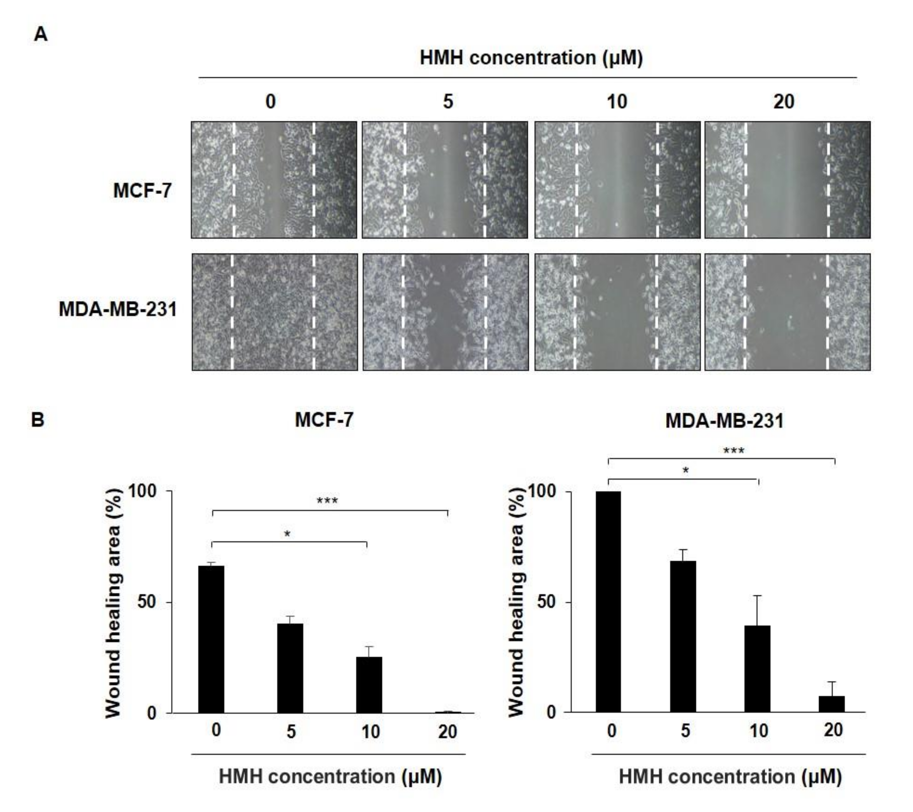 Molecules 26 06714 g003