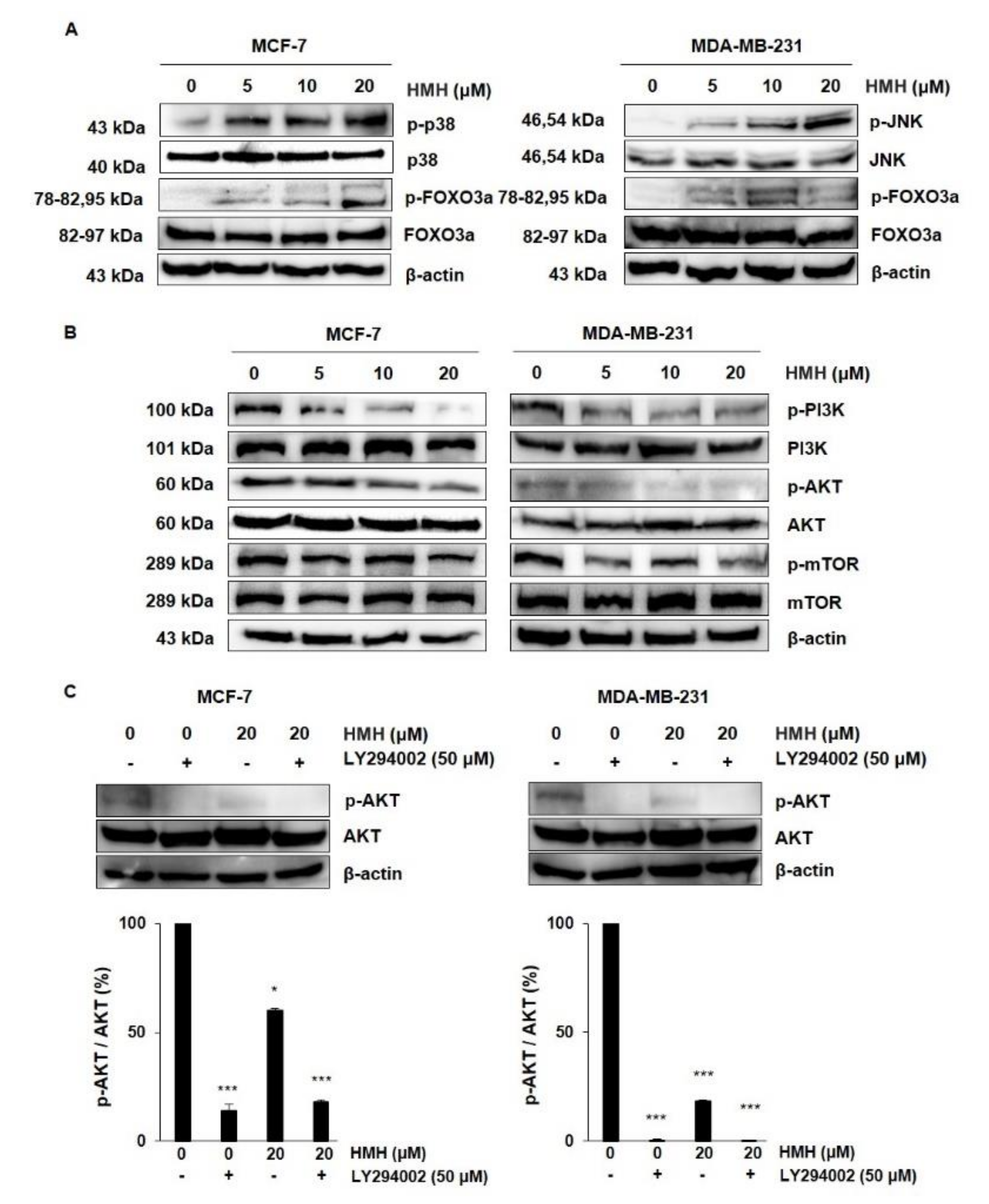 Molecules 26 06714 g007