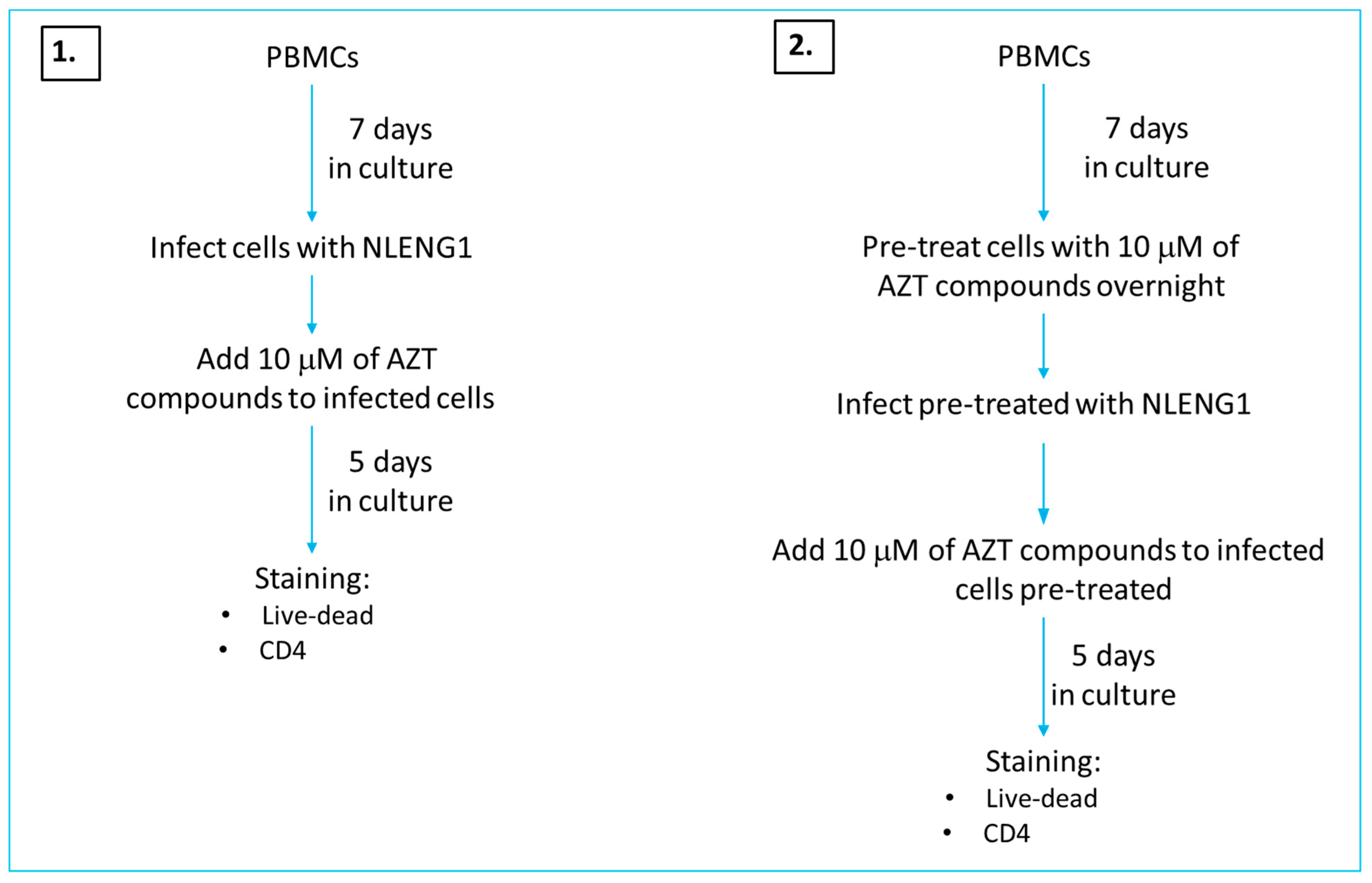 Molecules 26 06720 sch002