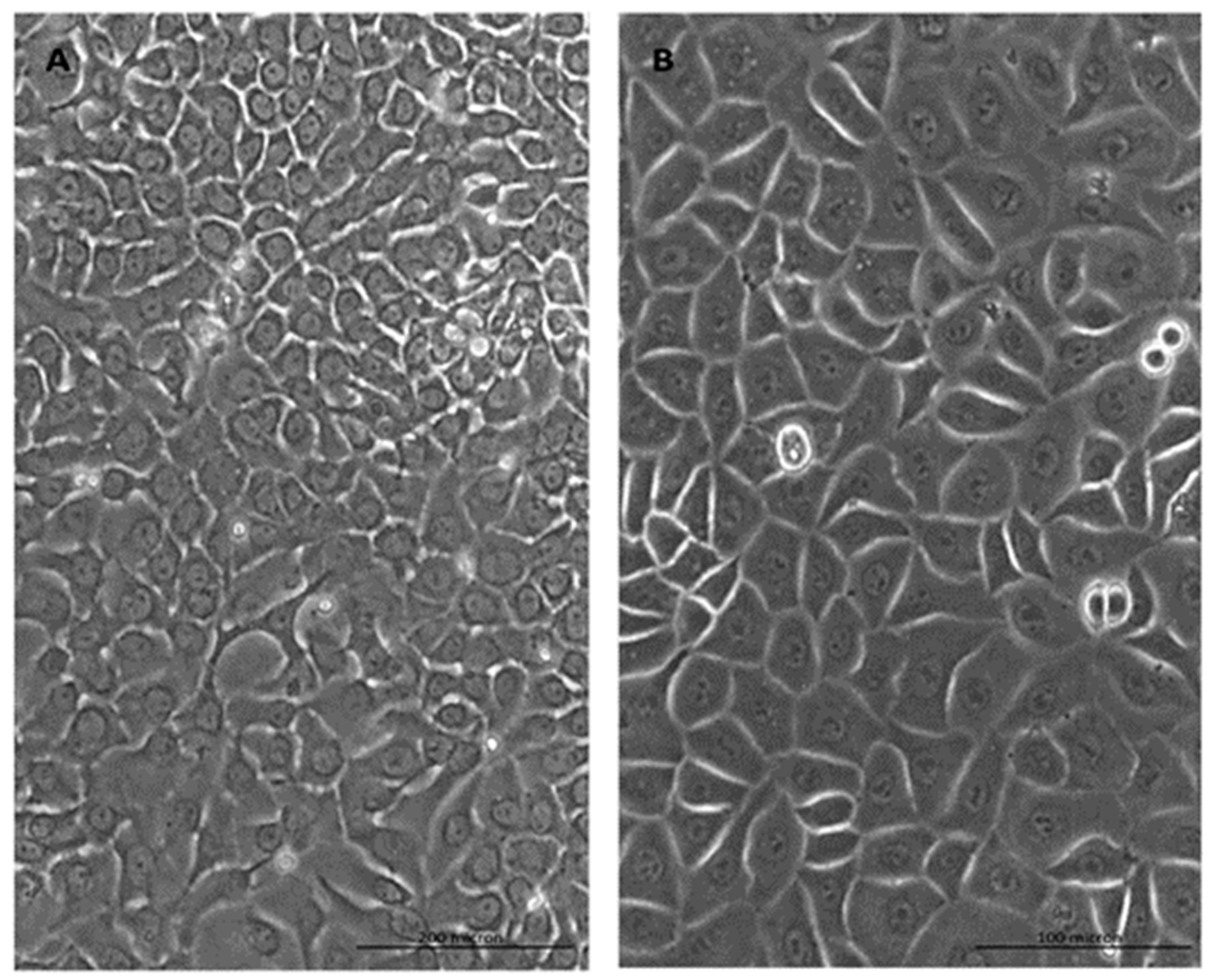 Molecules 26 06724 g001