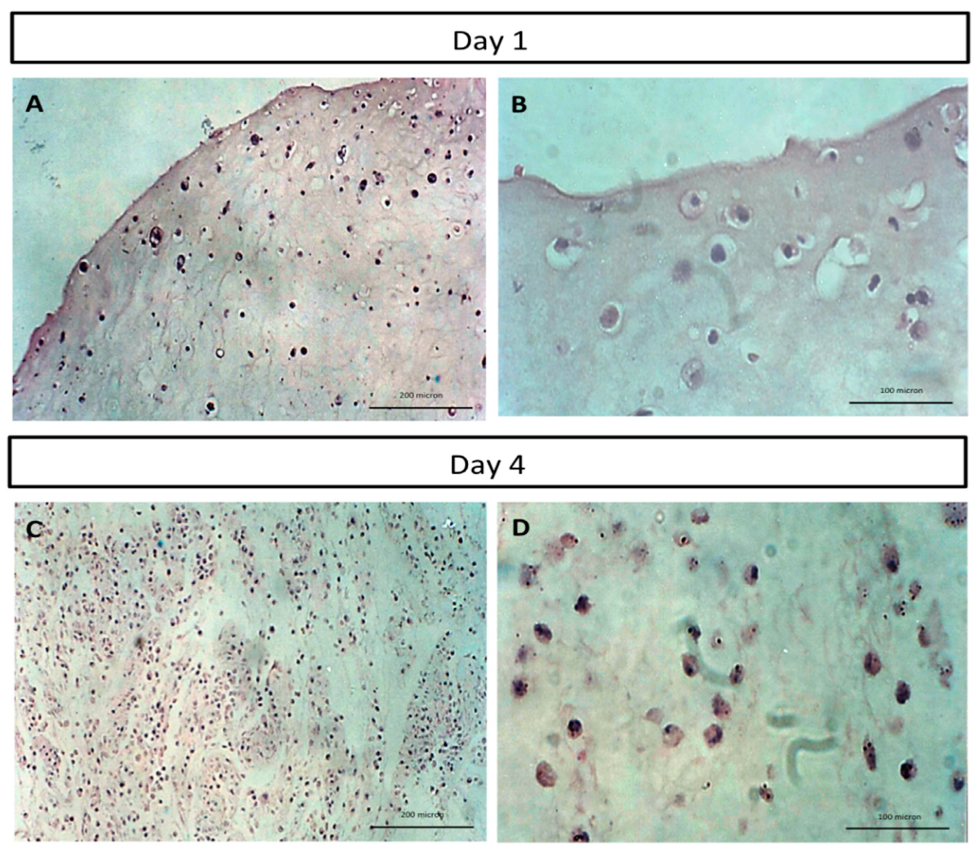 Molecules 26 06724 g002