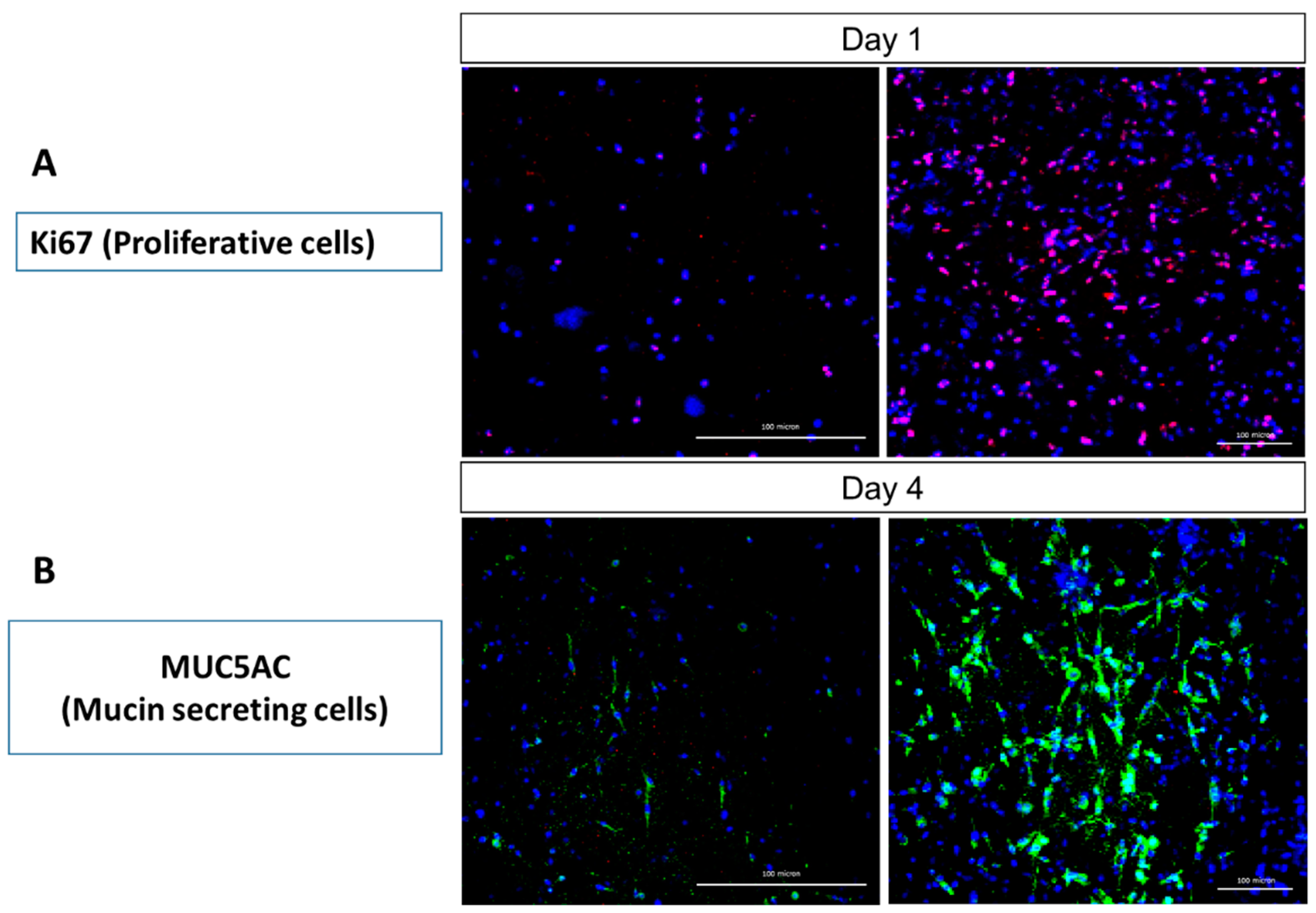 Molecules 26 06724 g004