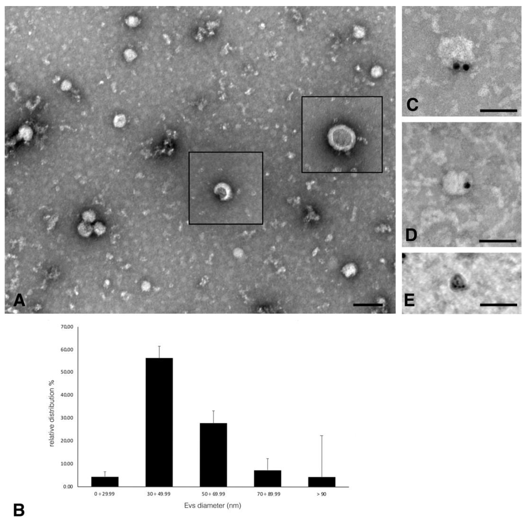 Molecules 26 06726 g007
