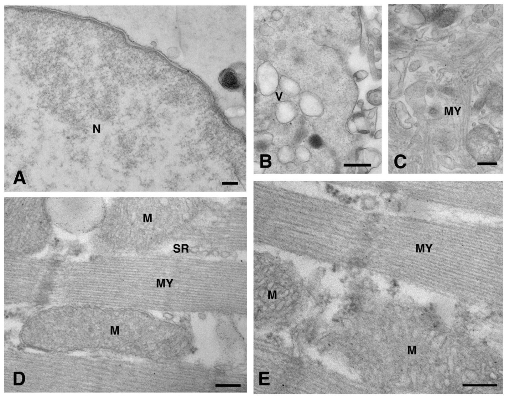 Molecules 26 06726 g008