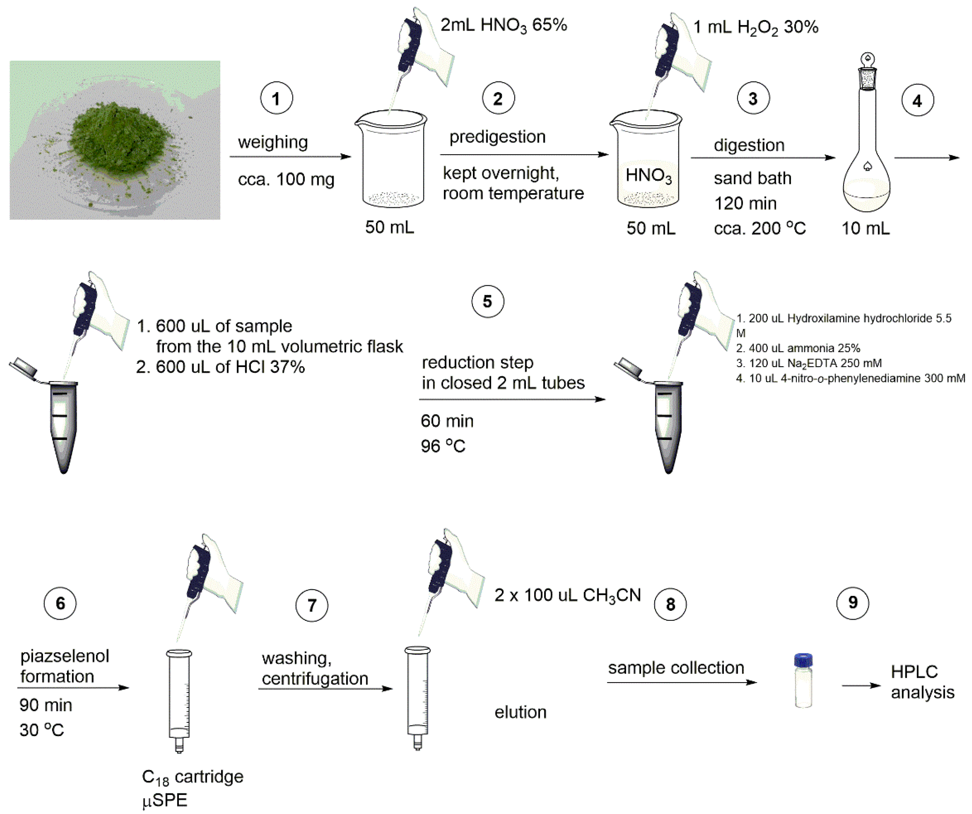 Molecules 26 06730 g001