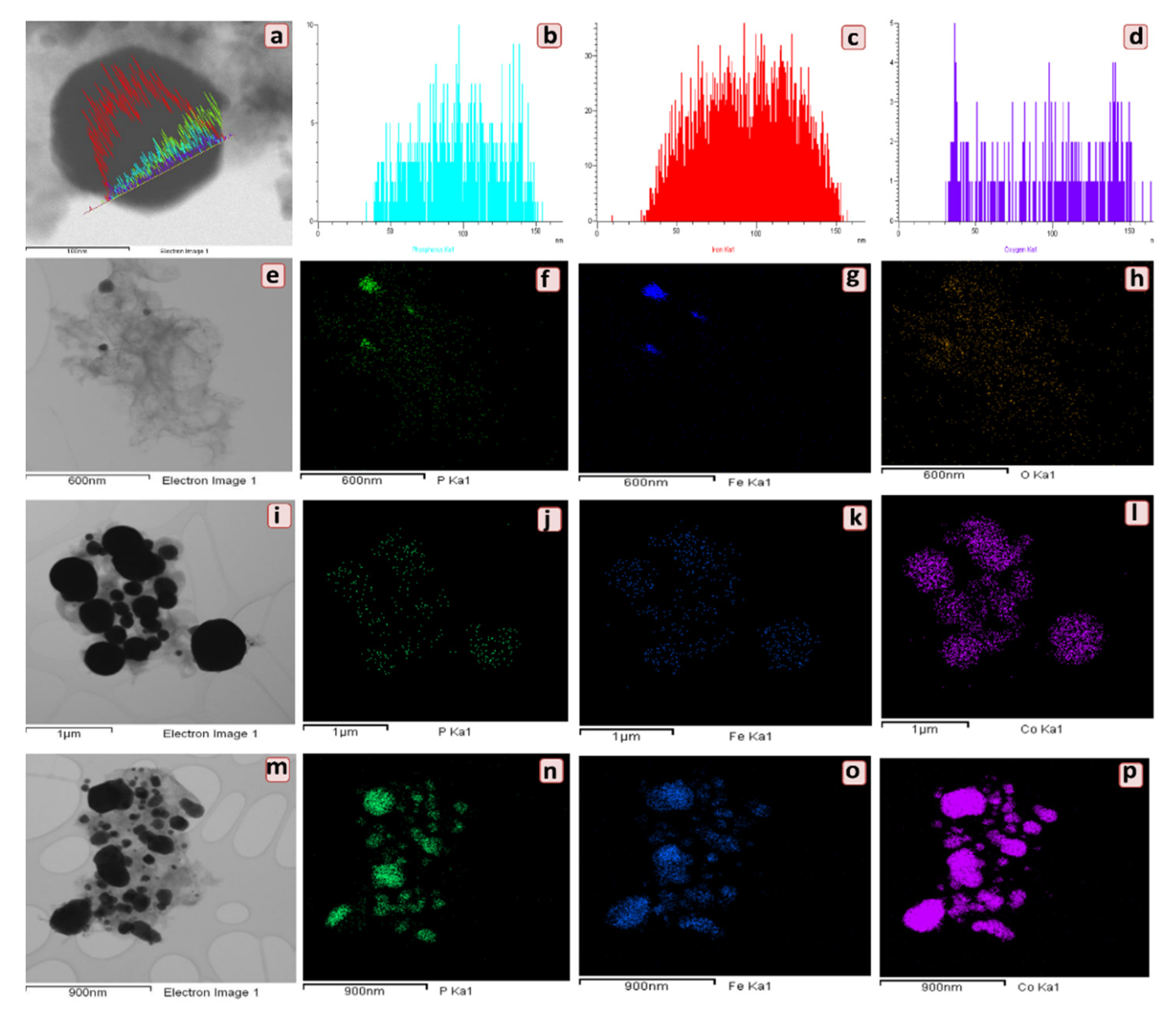 Molecules 26 06732 g005