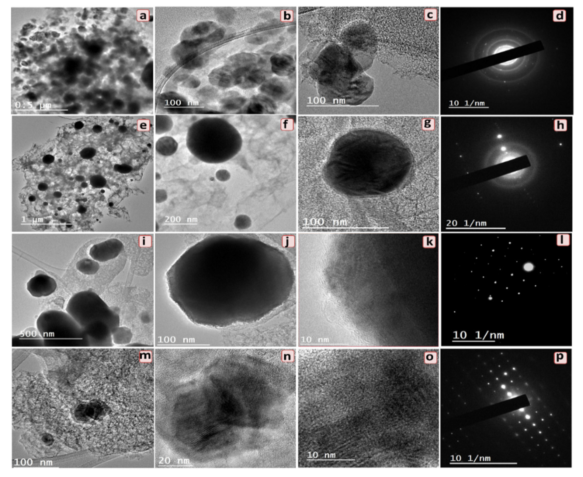 Molecules 26 06732 g006