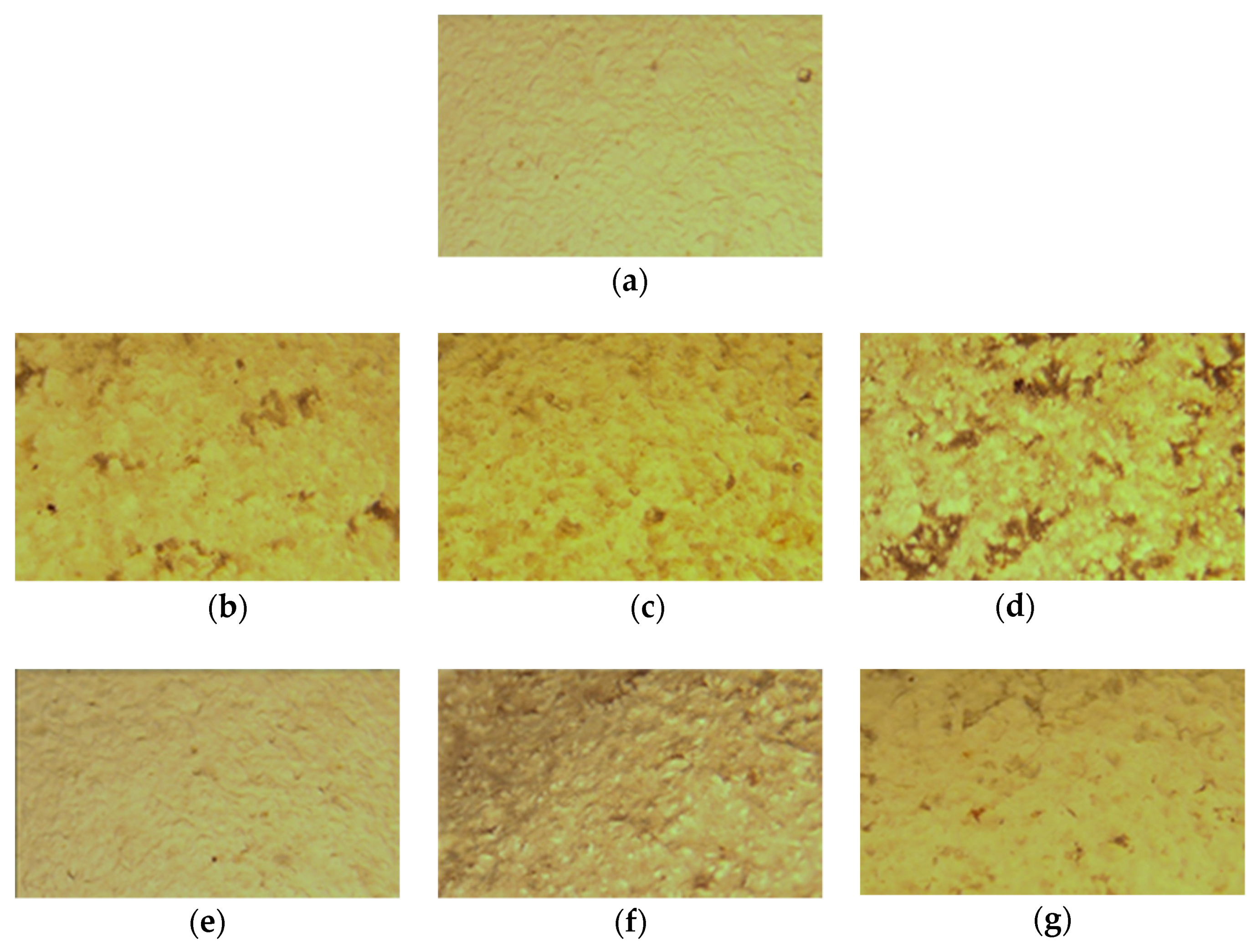 Molecules 26 06734 g001