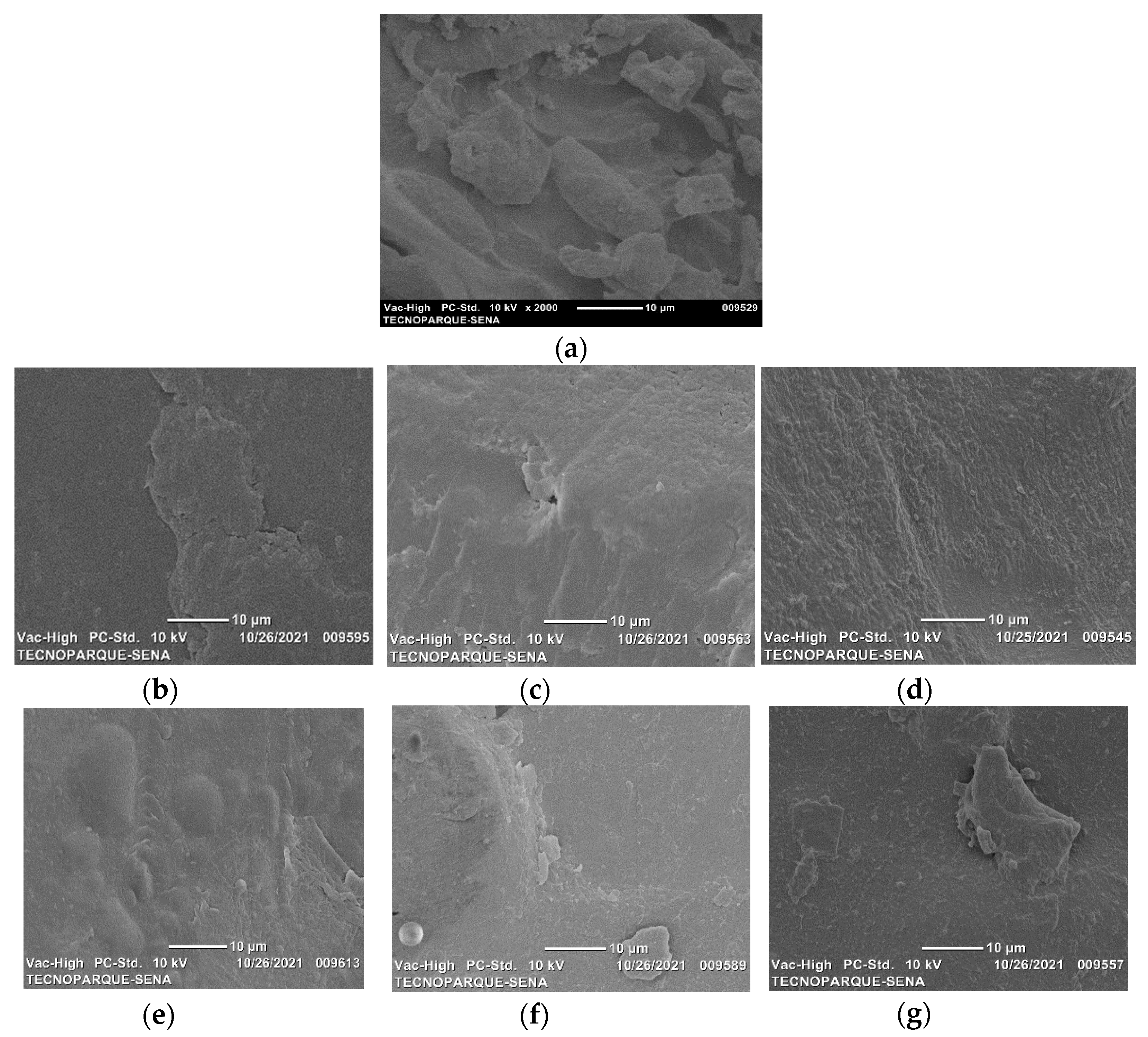 Molecules 26 06734 g002
