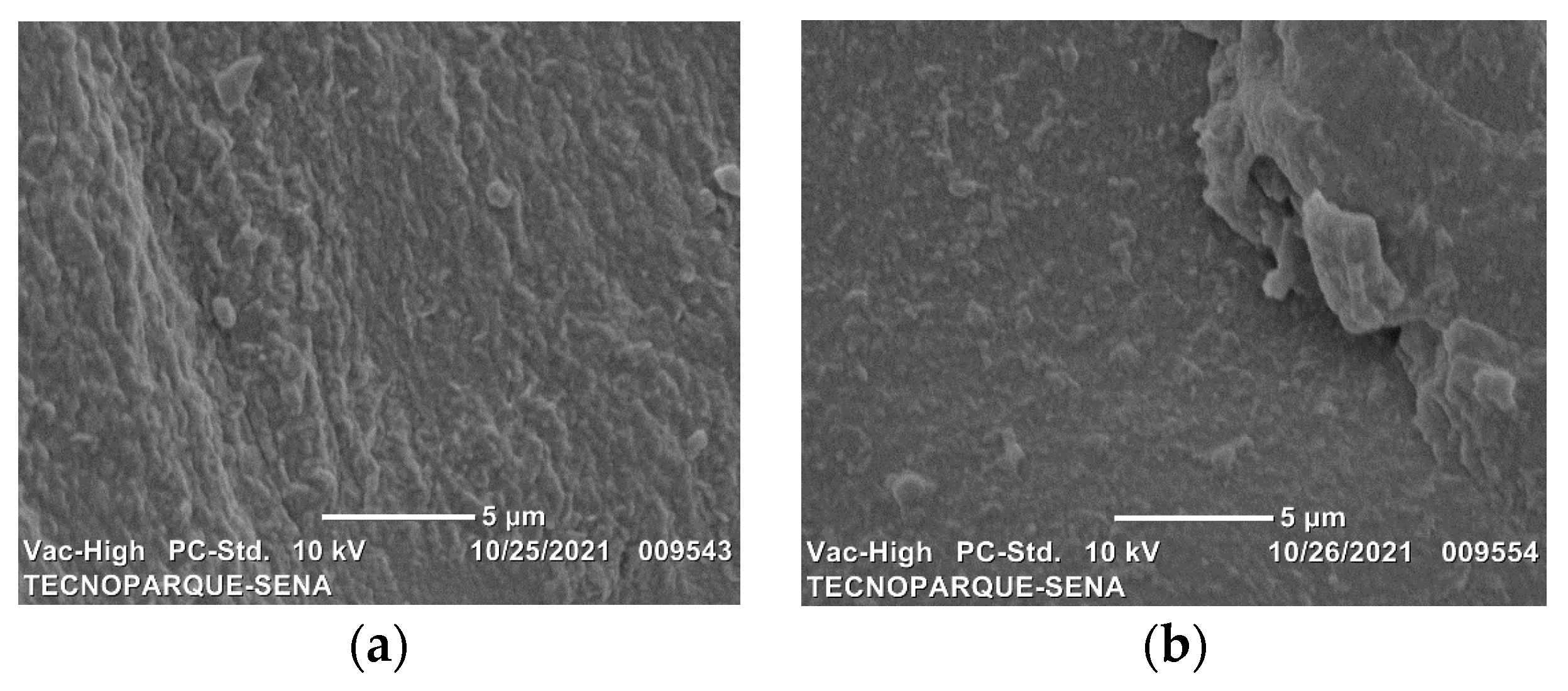 Molecules 26 06734 g003