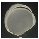 Molecules 26 06734 i002