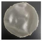 Molecules 26 06734 i005