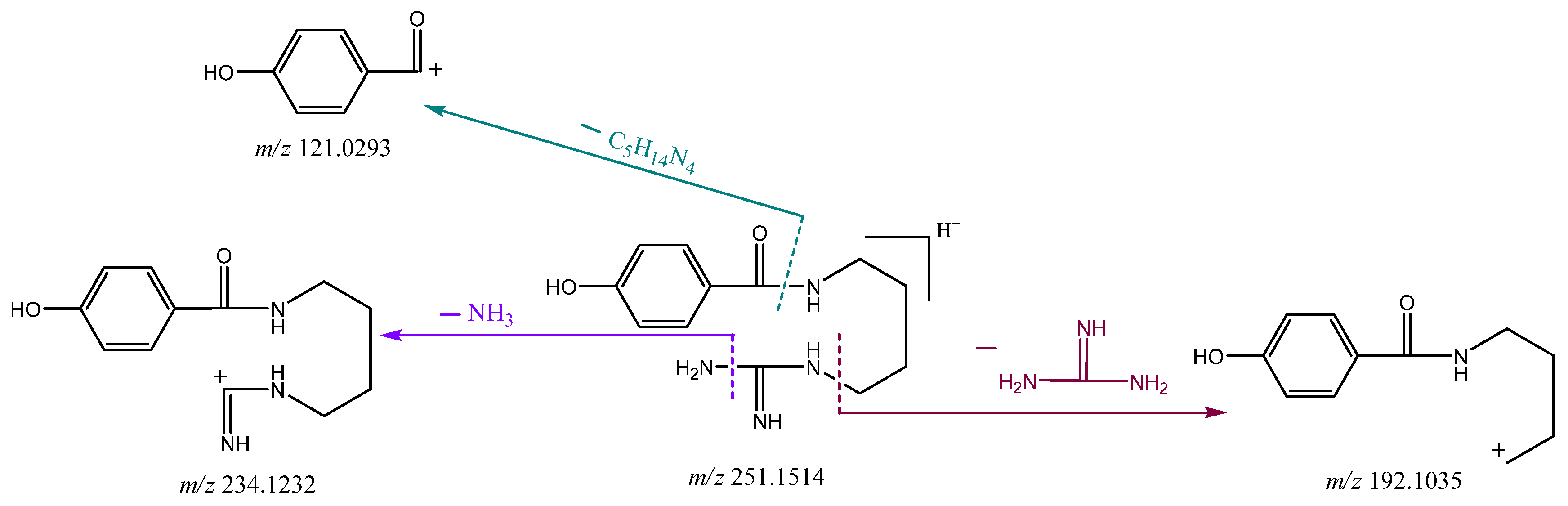 Molecules 26 06737 g002