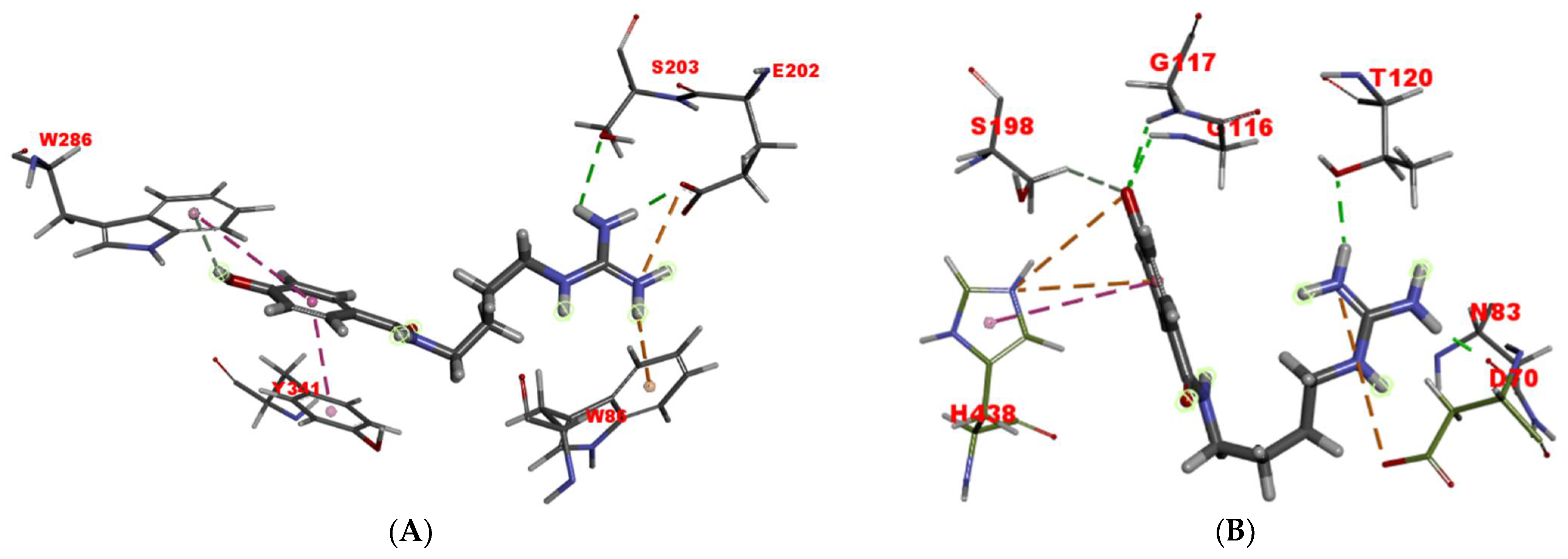 Molecules 26 06737 g007