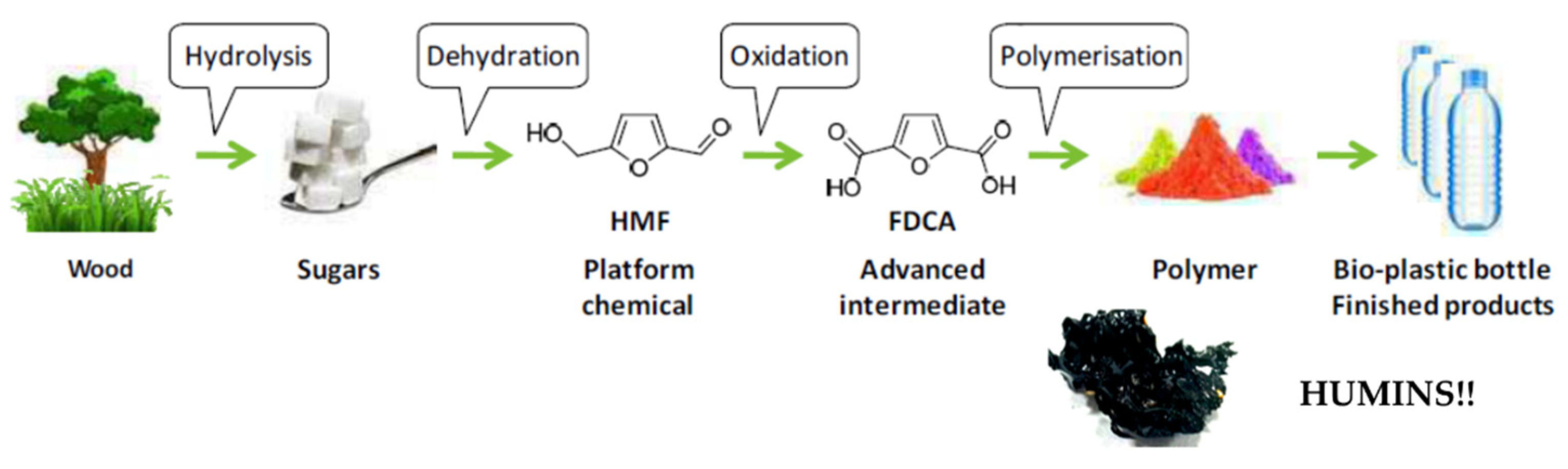 Molecules 26 06738 sch001