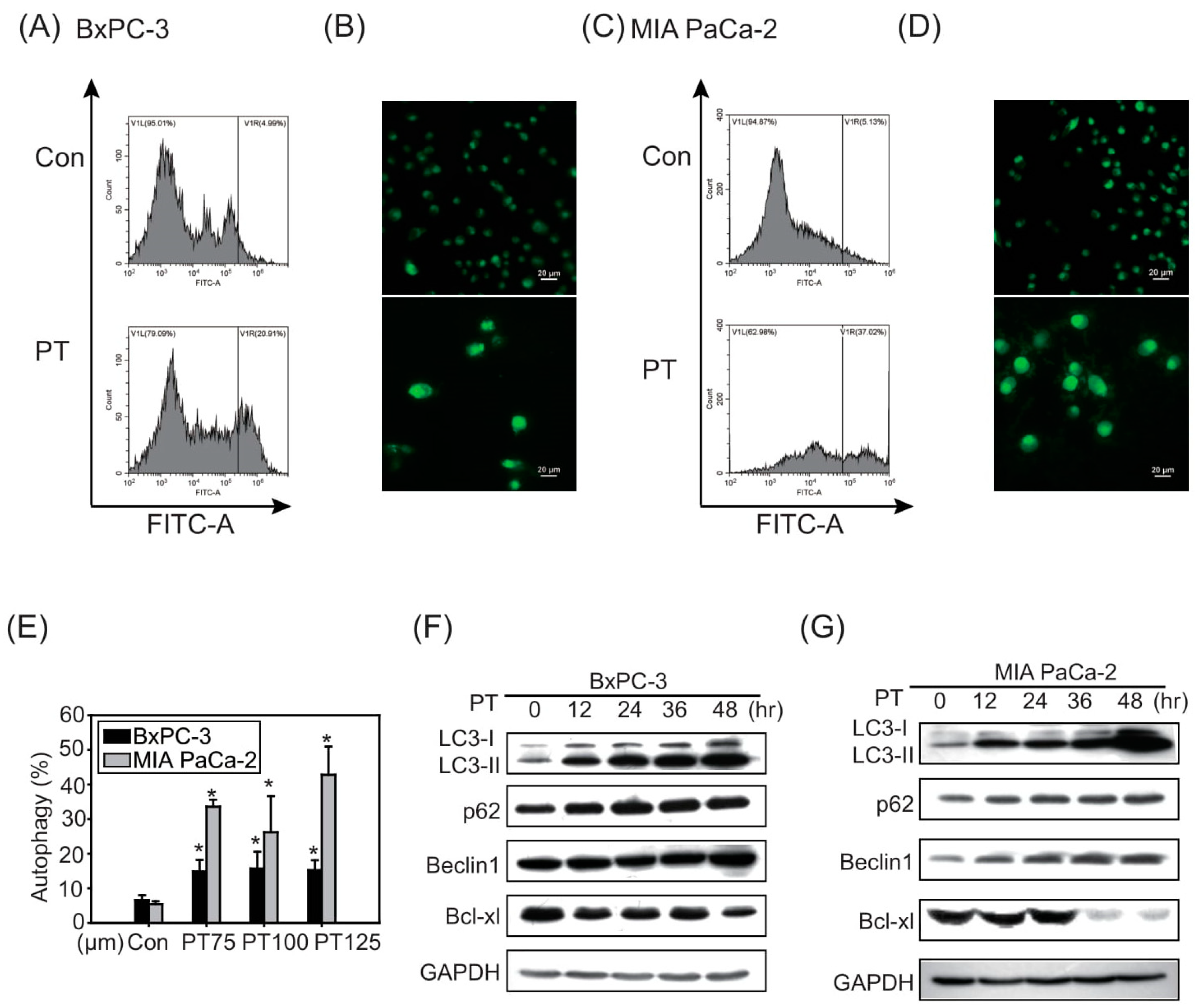 Molecules 26 06741 g002