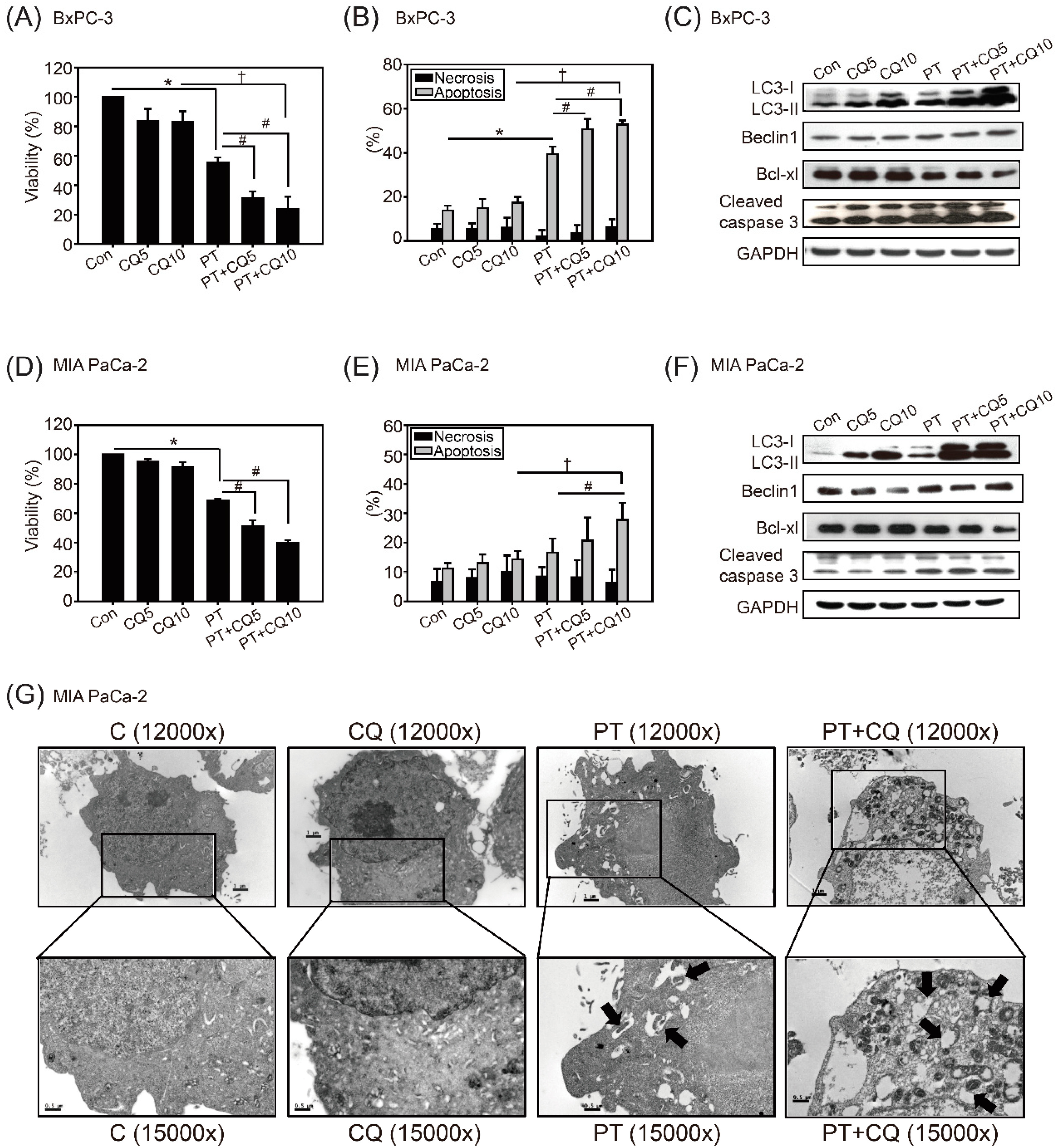 Molecules 26 06741 g003
