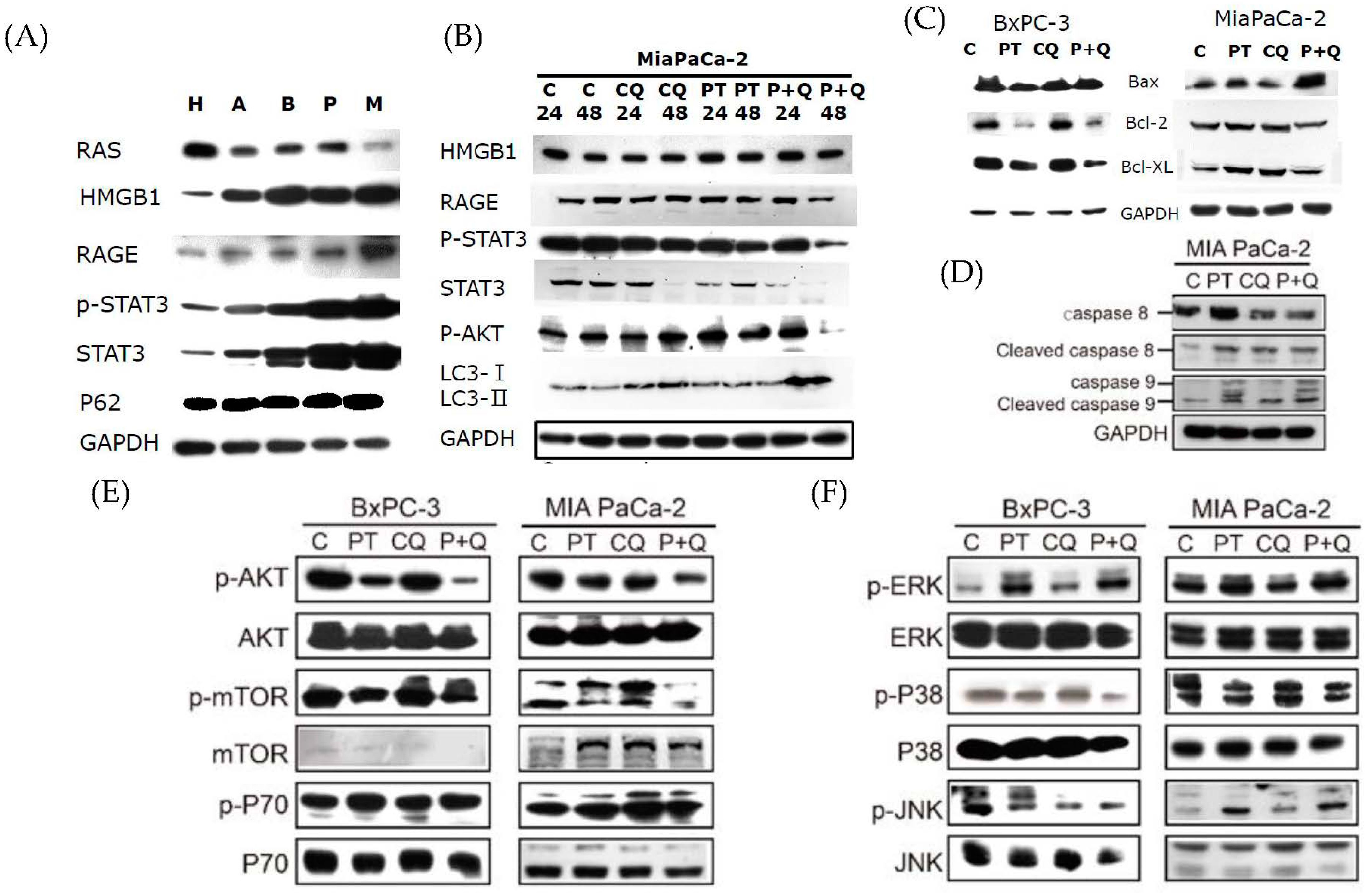 Molecules 26 06741 g004