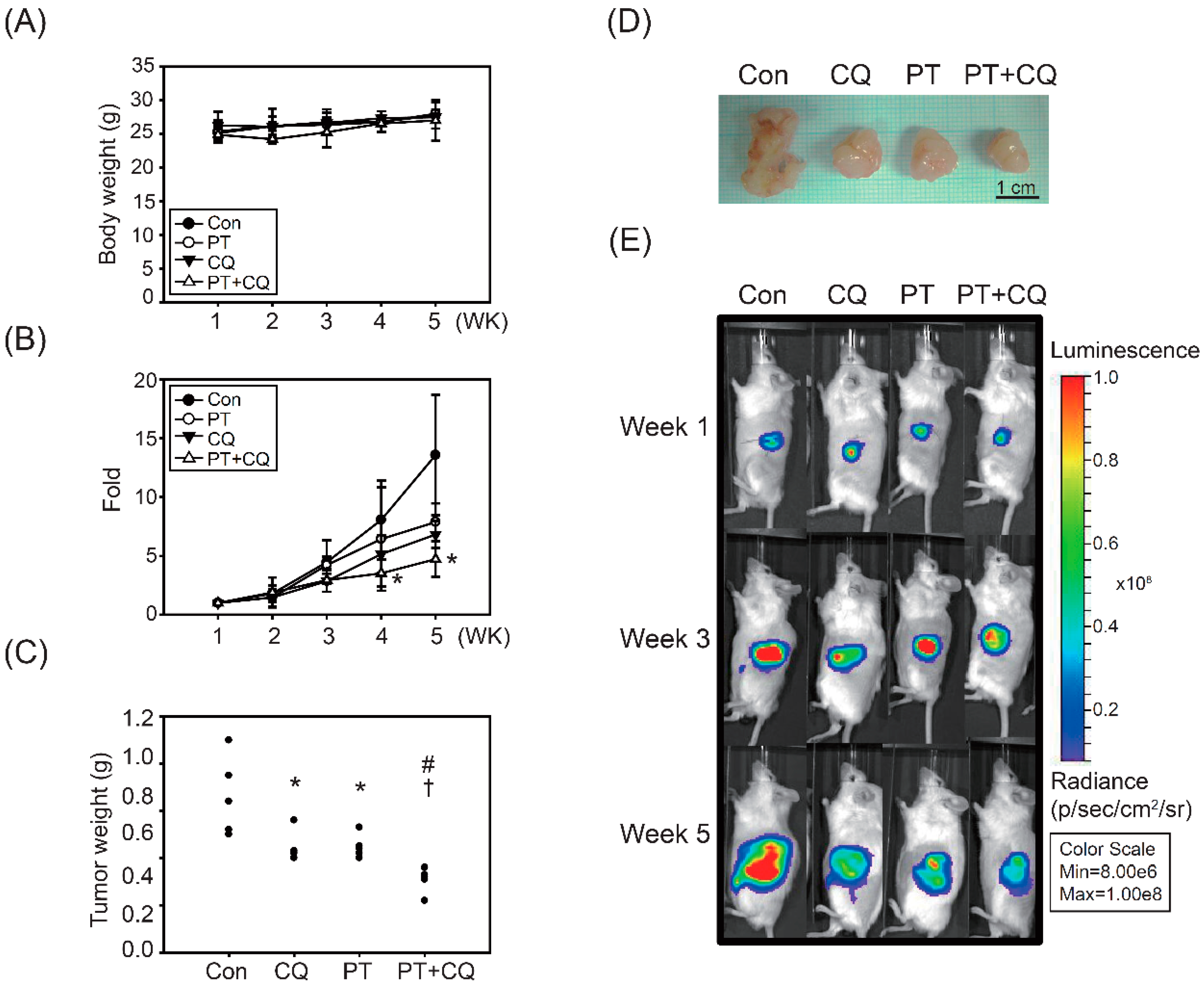 Molecules 26 06741 g005