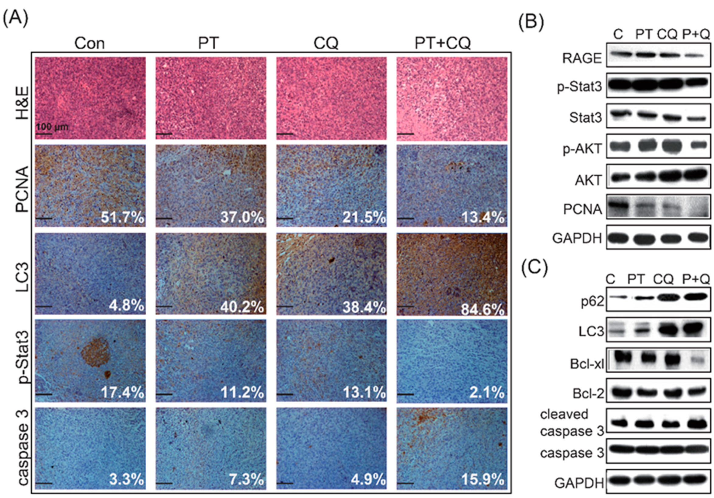 Molecules 26 06741 g006