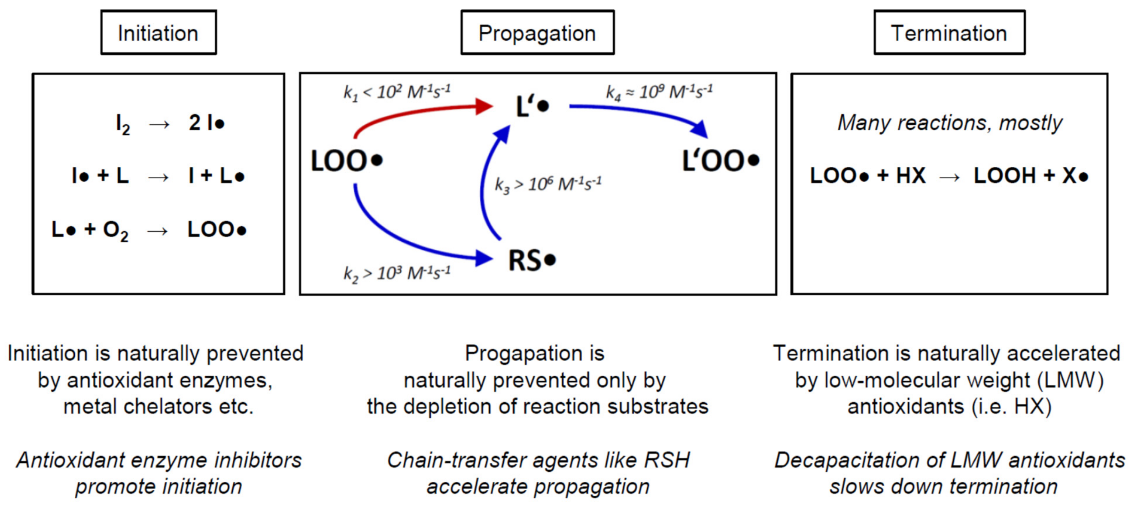 Molecules 26 06743 g005