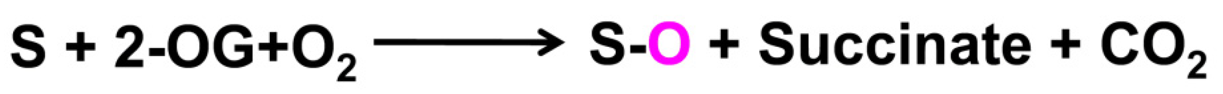 Molecules 26 06745 g001