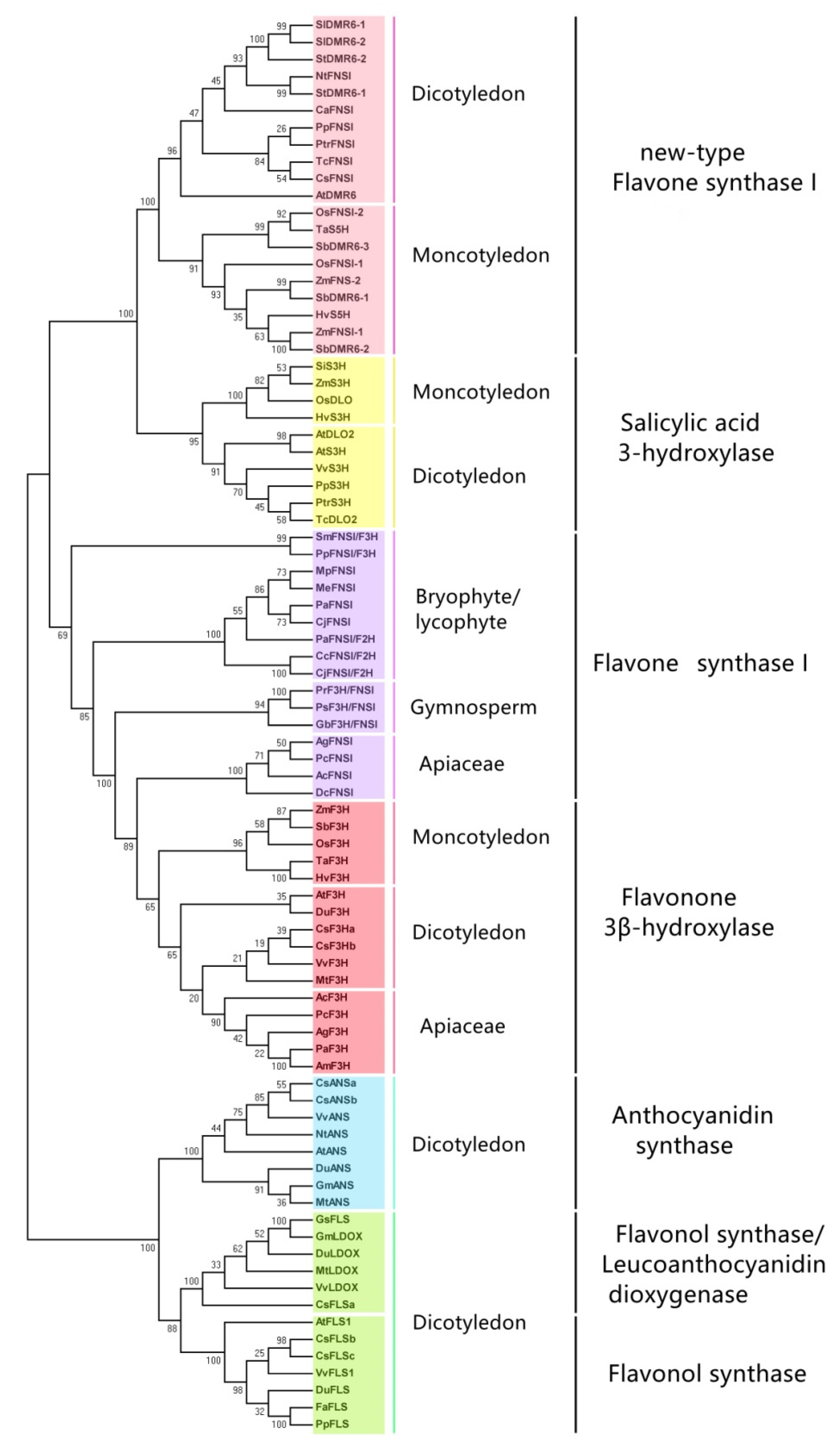 Molecules 26 06745 g003