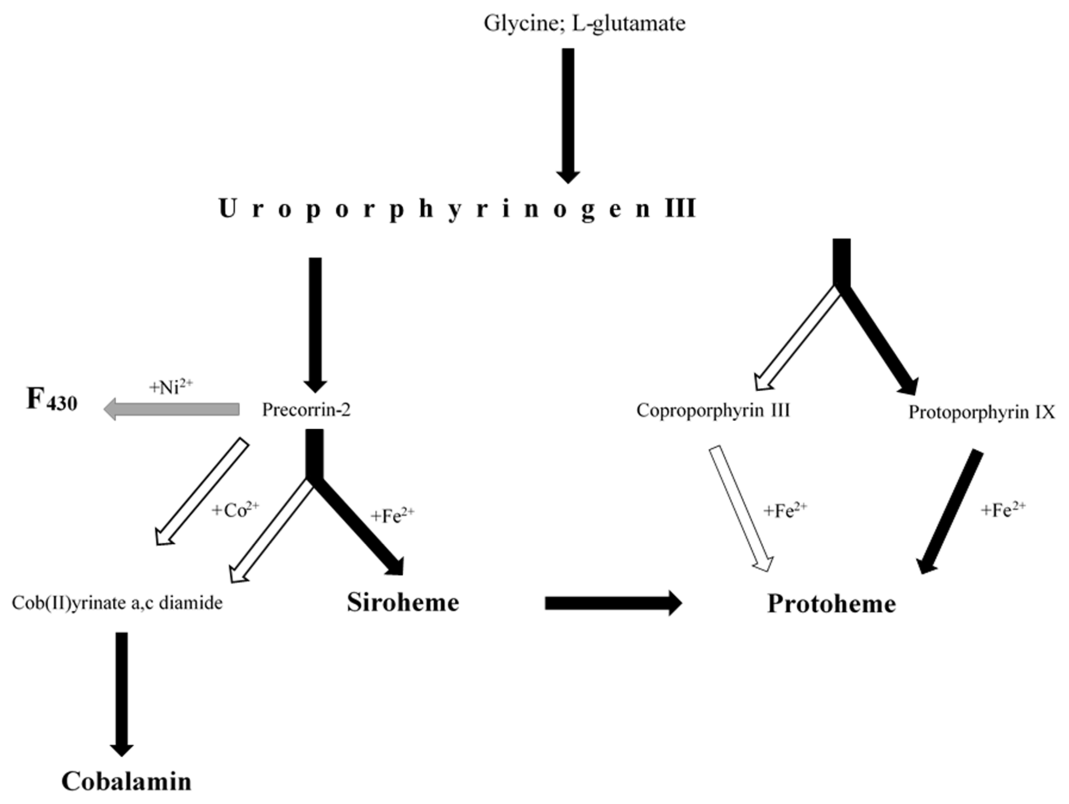 Molecules 26 06746 g001