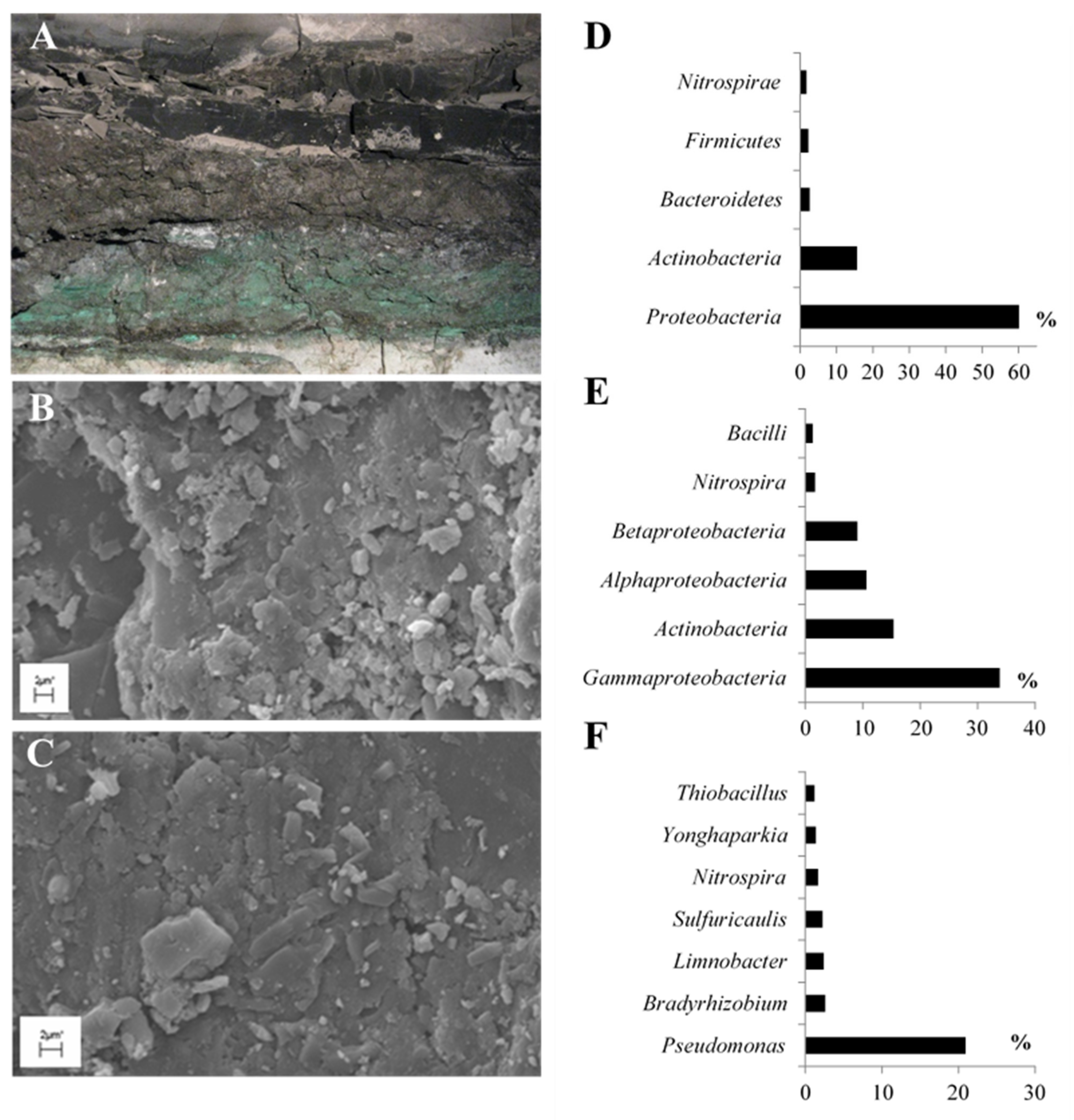 Molecules 26 06746 g002