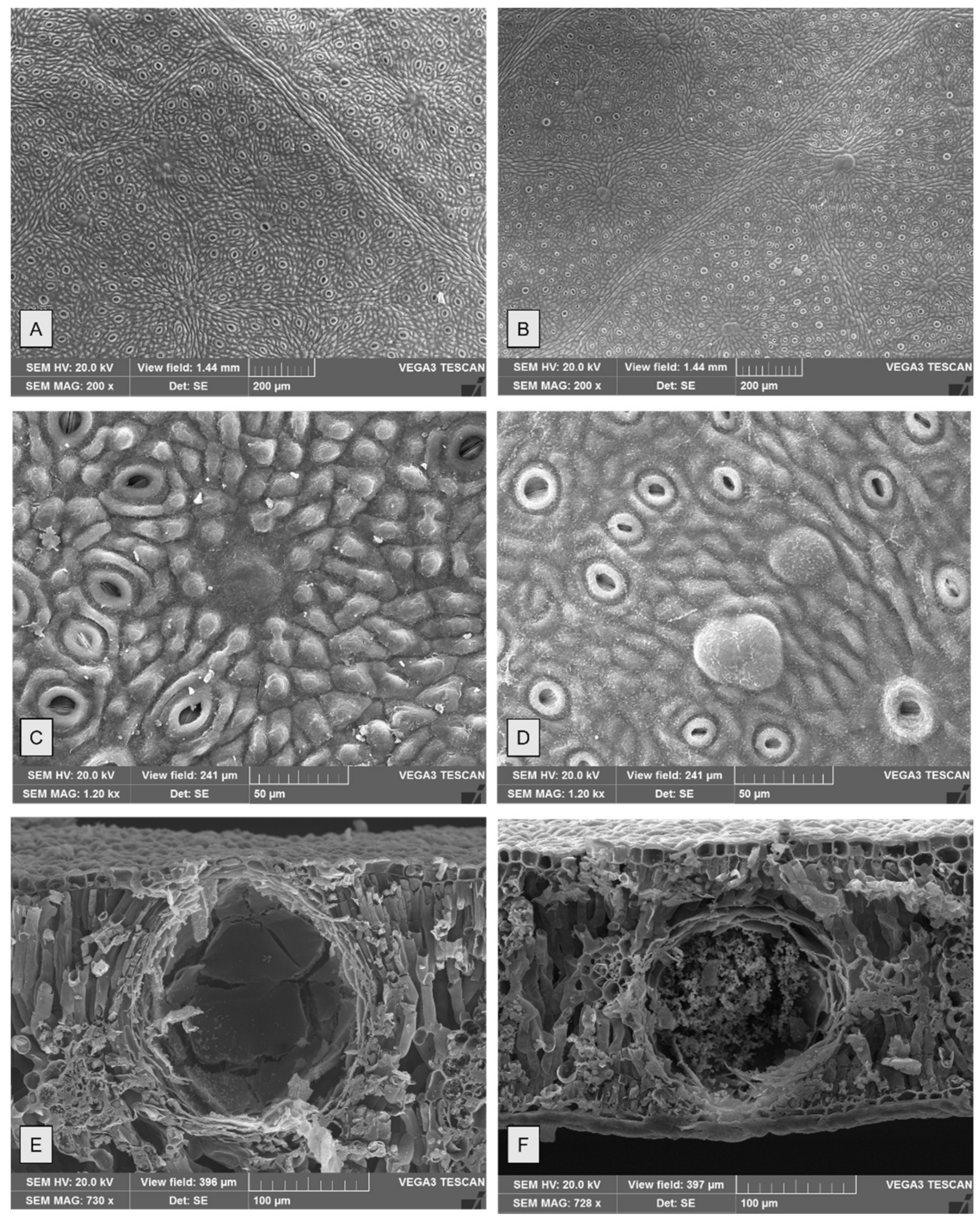 Molecules 26 06749 g004