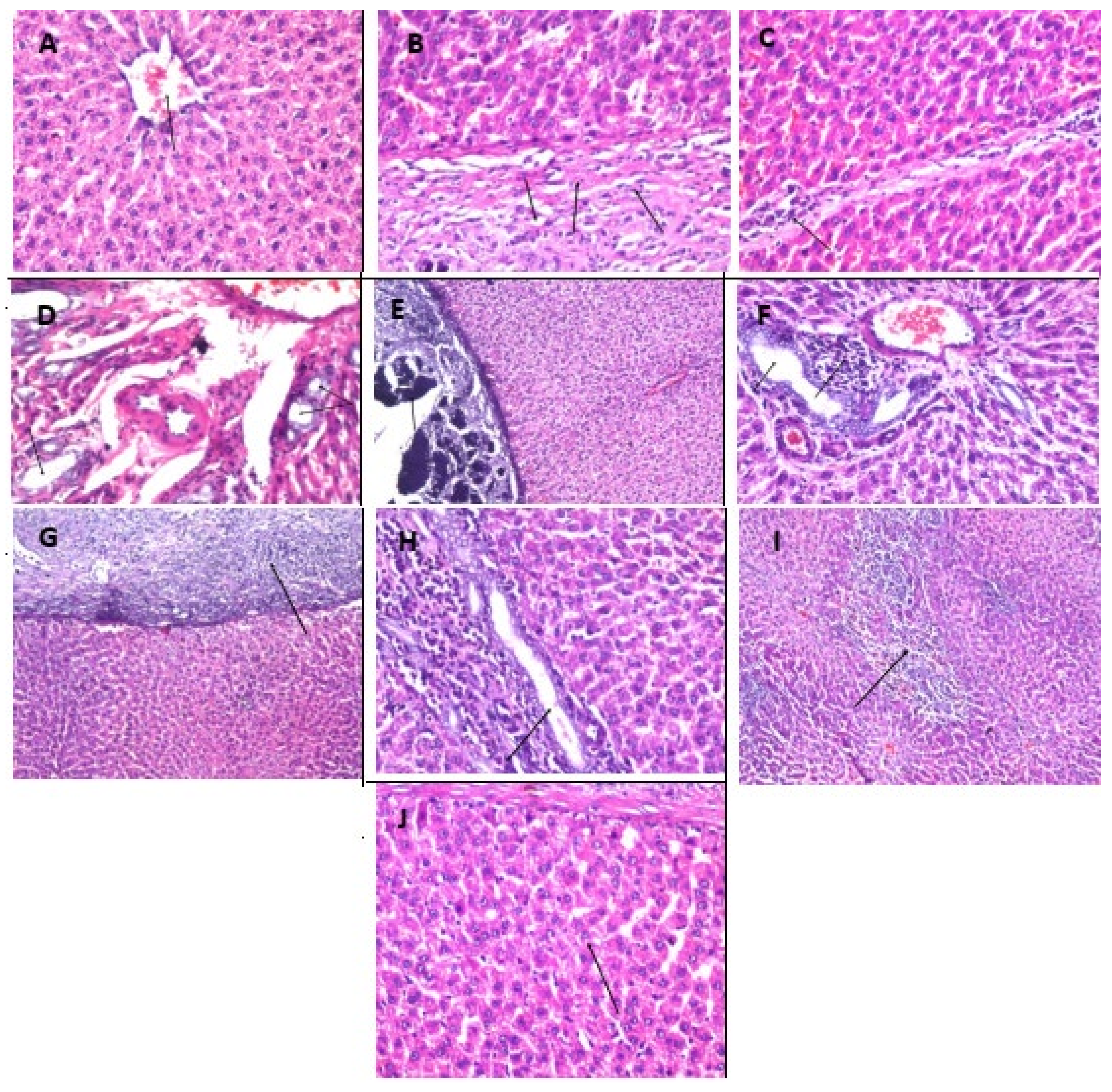 Molecules 26 06752 g002