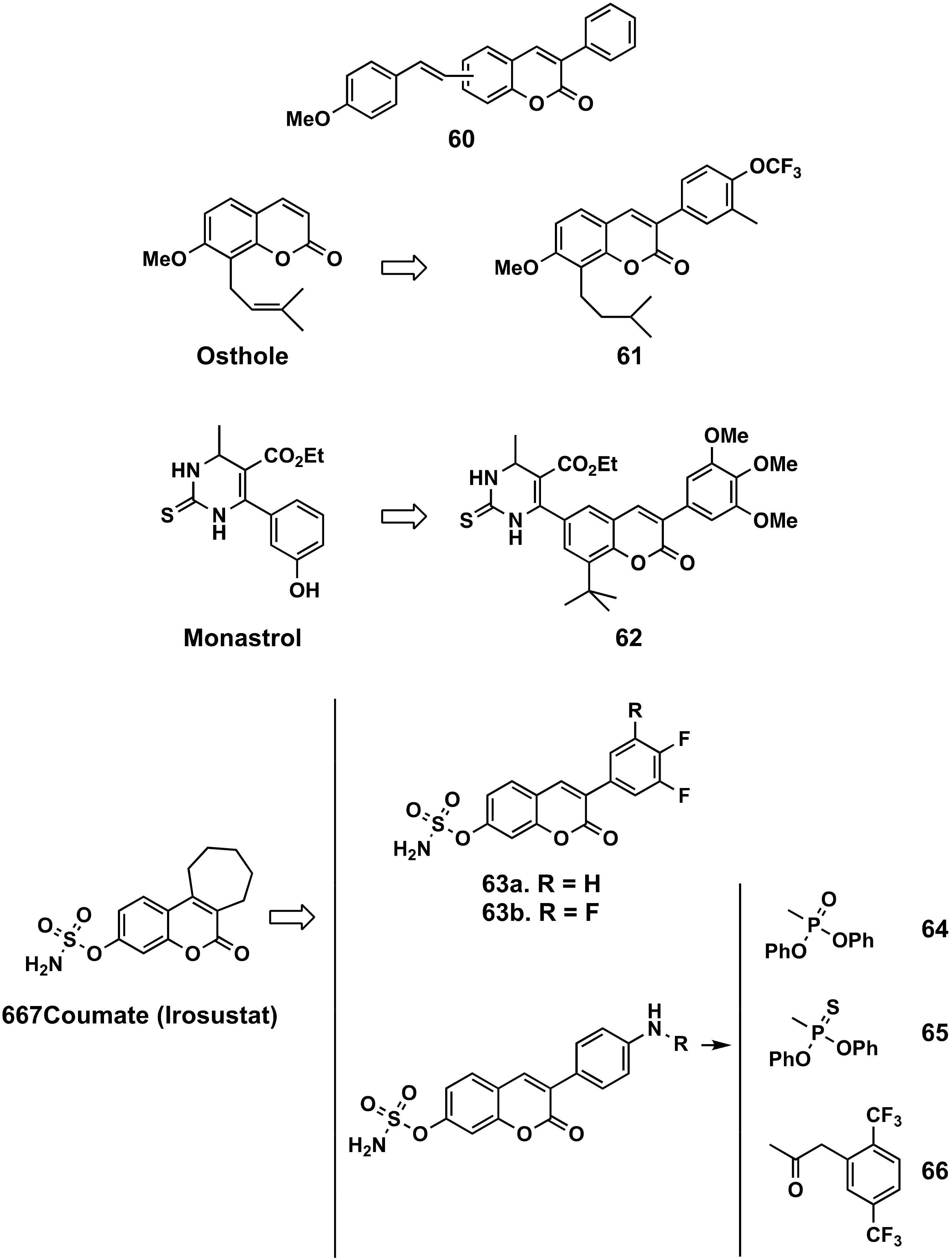 Molecules 26 06755 g021